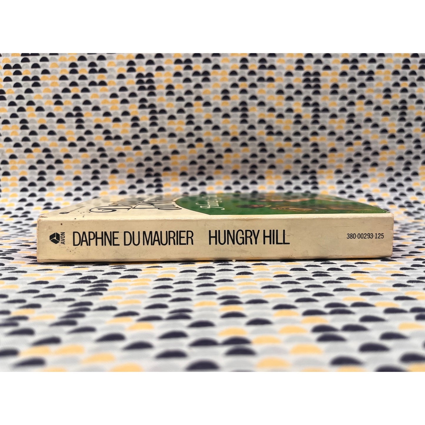 Hungry Hill - Daphne Du Maurier - Avon Books - Paperback