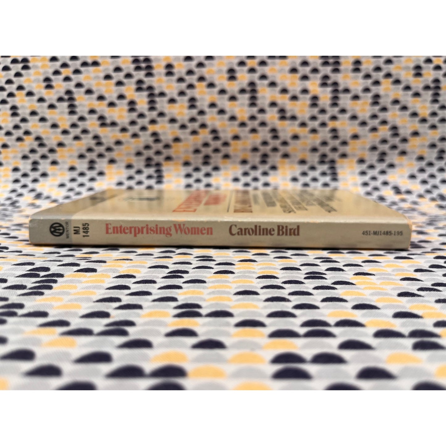 Enterprising Woman - Caroline Bird - Mentor Books - Paperback