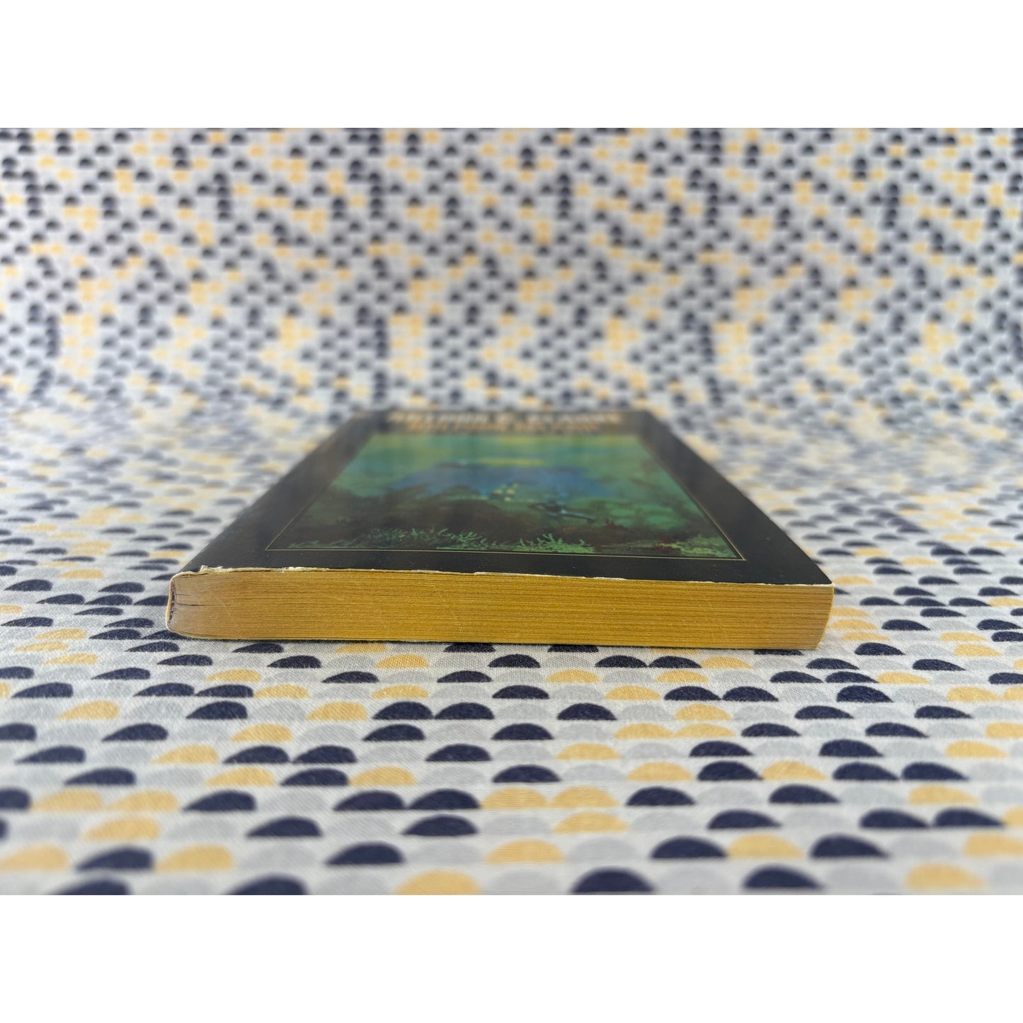 Dolphin Island - Arthur C. Clarke - Berkley - Paperback