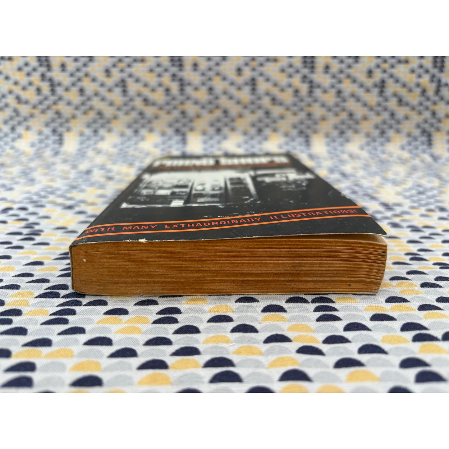 The Porno Shops - Roger Blake - Century