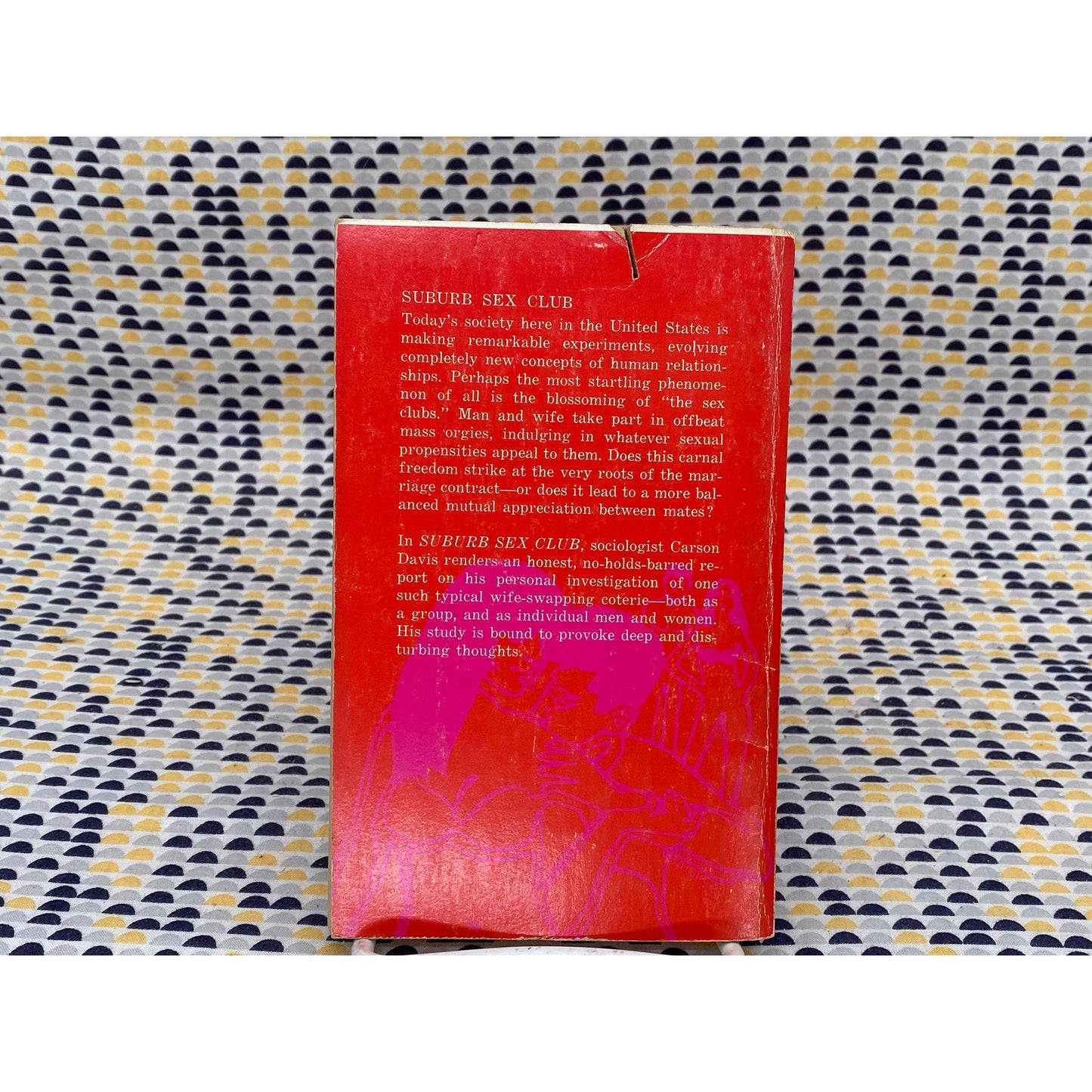 Suburb Sex Club - Carson Davis - Vintage Paperback Book - Classics Library Edition