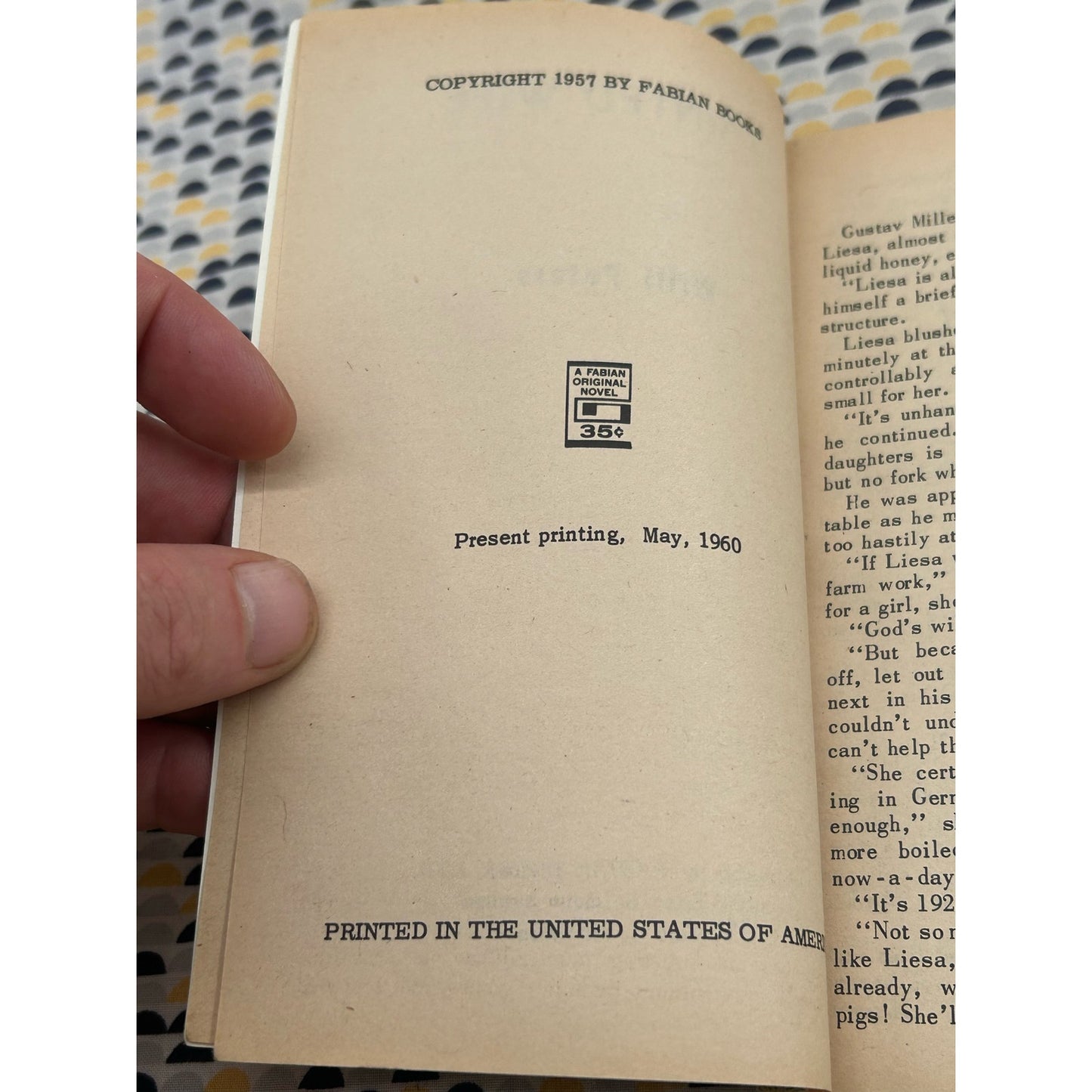 Tainted Wife - Willi Peters - Fabian Books - Sleaze - Vintage Paperbacks
