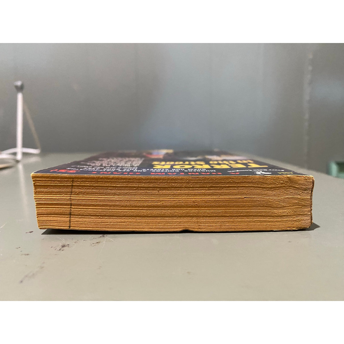 Terror in the Streets - Howard Whitman - Bantam Giant A964 - Vintage Paperbacks