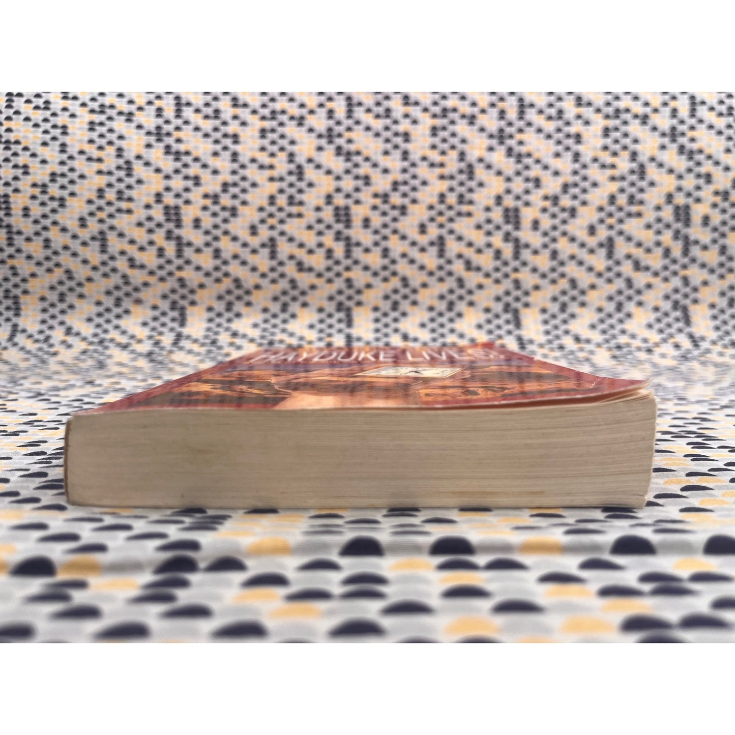 Hayduke Lives! - Edward Abbey- Little Brown and Company Books- Paperback