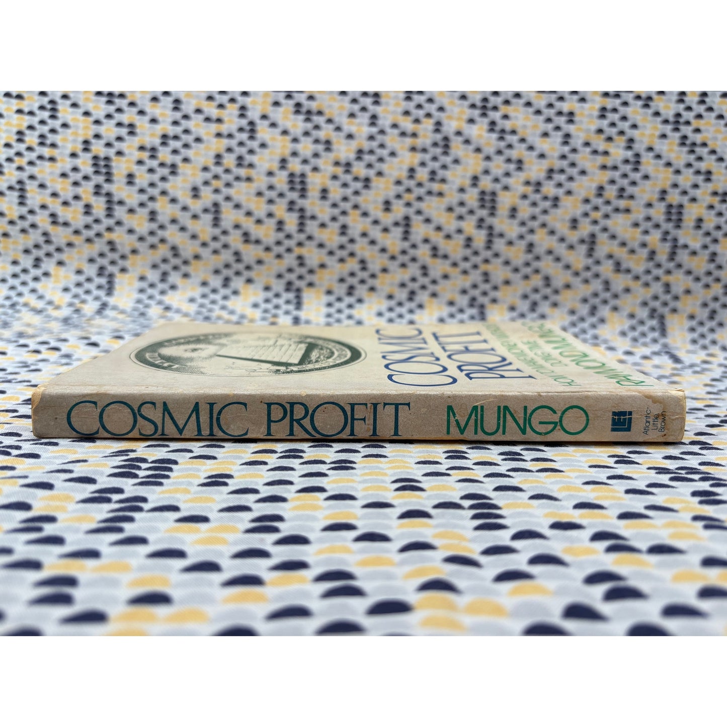 Cosmic Profit - Raymond Mungo - Little Brown - Paperback