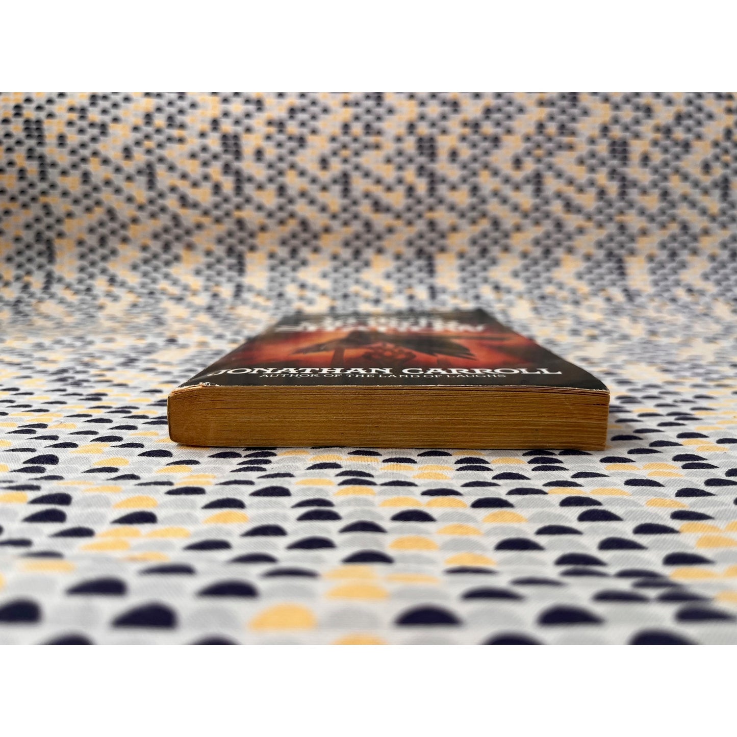 Voice of Our Shadow - Jonathan Carrol - Ace Fantasy - Paperback