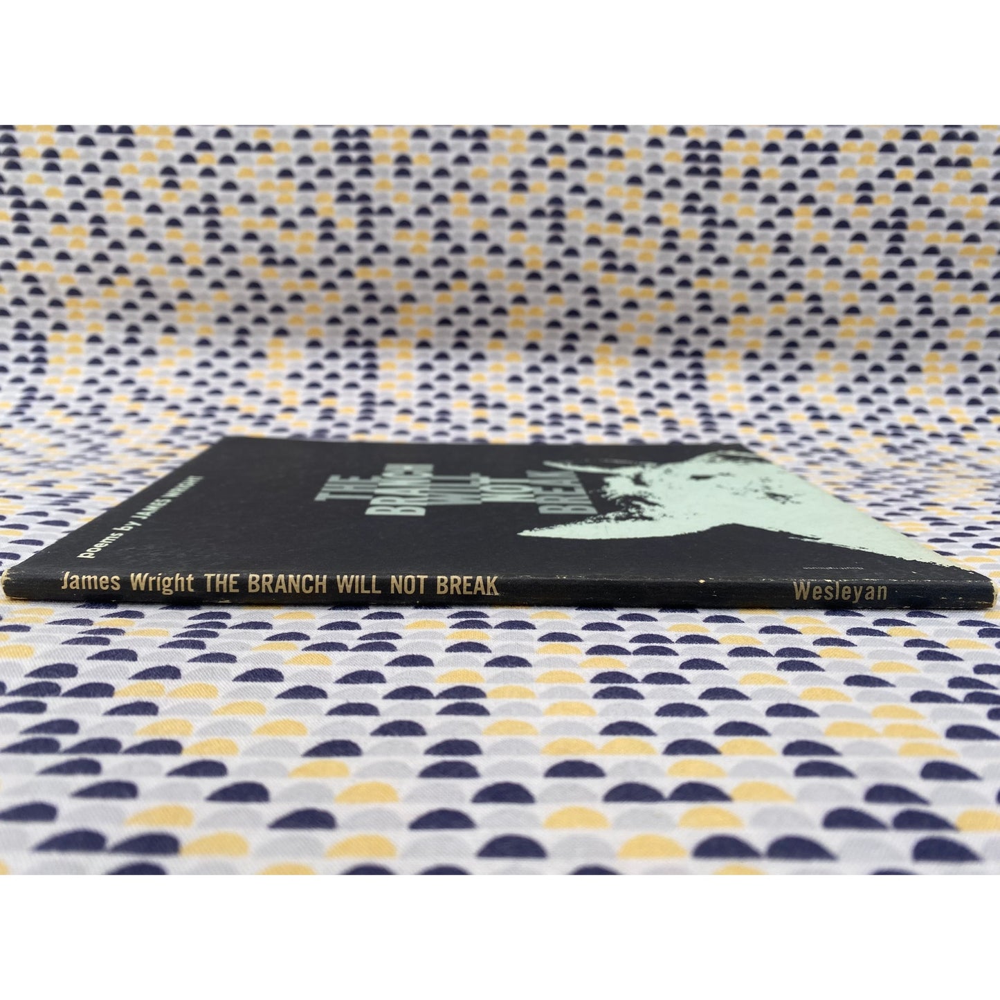 The Branch Will Not Break - James Wright - Wesleyan - Paperback