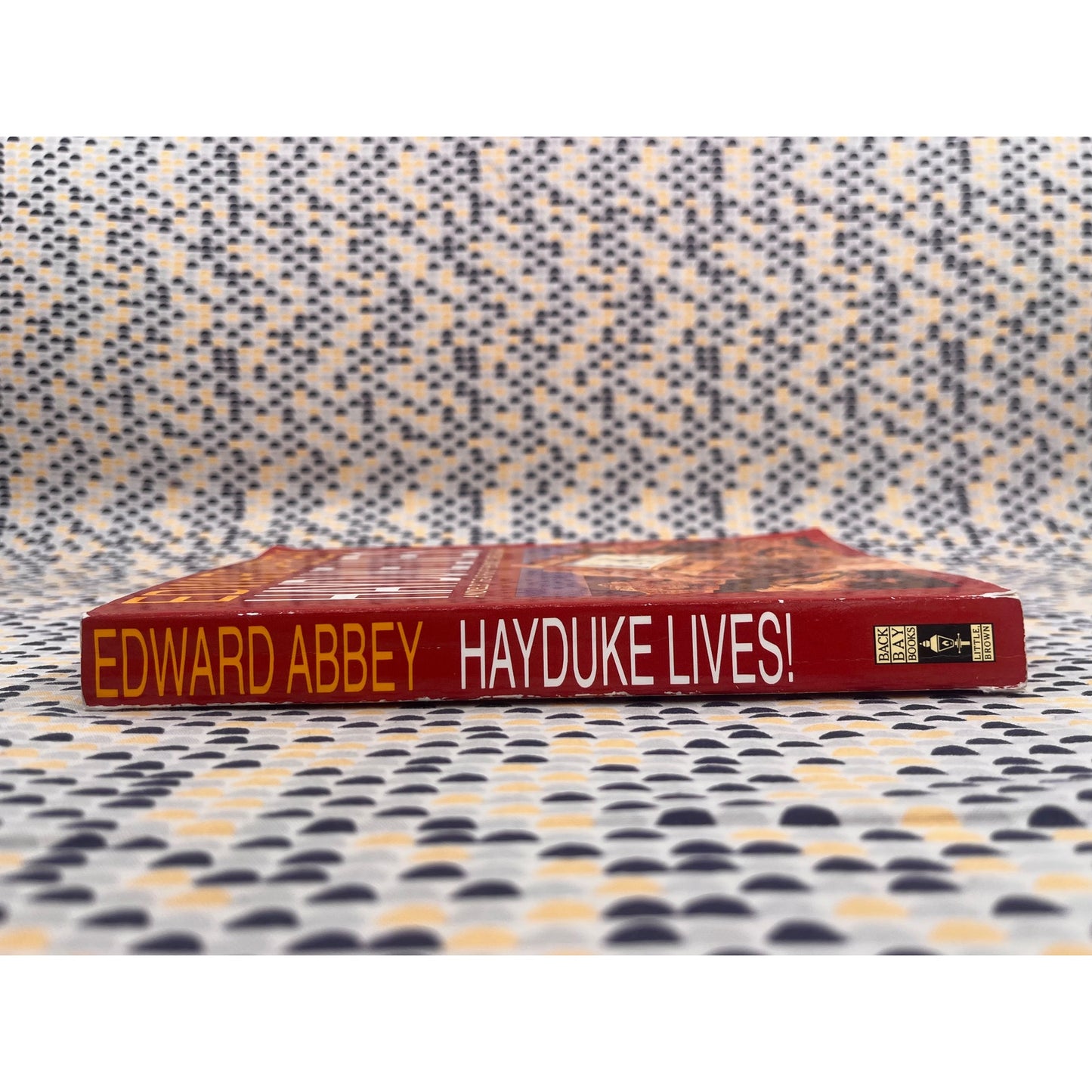 Hayduke Lives! - Edward Abbey- Little Brown and Company Books- Paperback