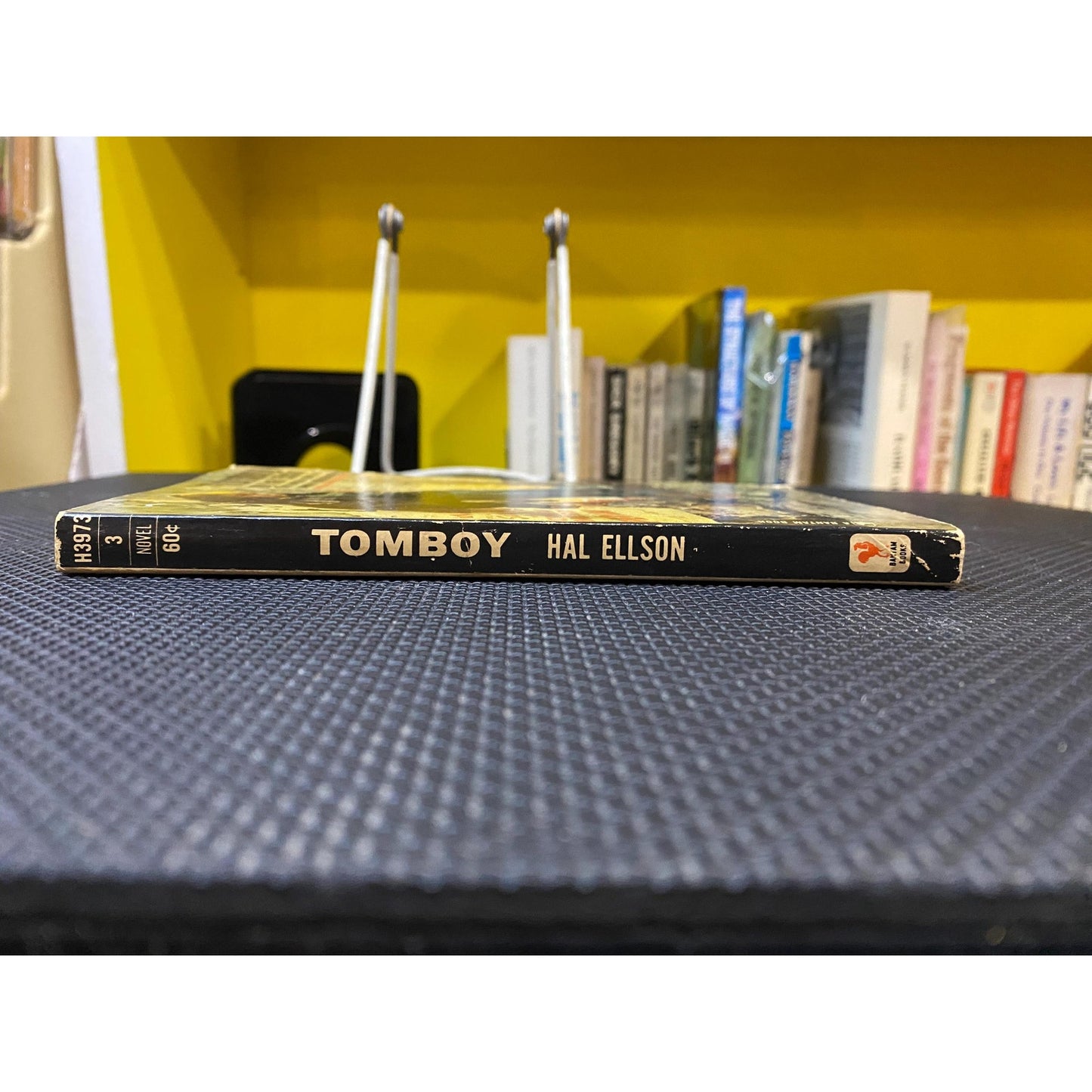 Tomboy - Hal Ellson - The Famous Novel of Juvenile Delinquency - Vintage Paperback Book - Bantam Edition