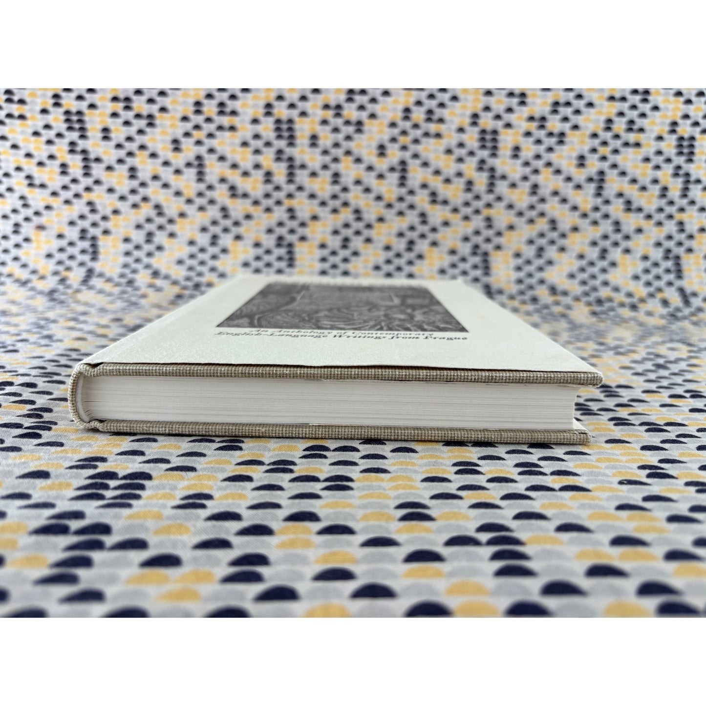 Bohemian Verses - Scott H. Rogers - Modra Musa - Hardcover