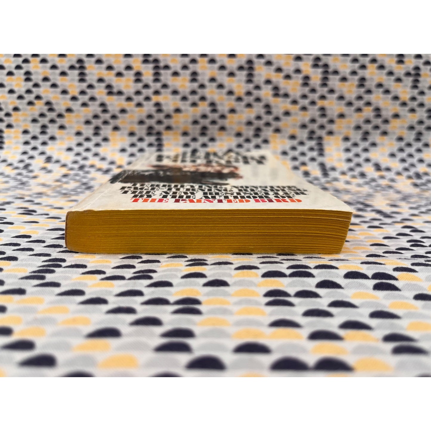 Cockpit - Jerzy Kosinski - Bantam Books