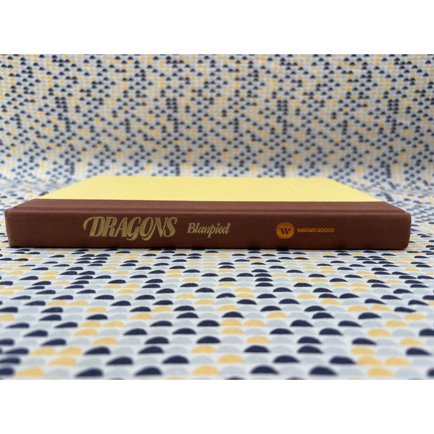 Dragons - Pamela Wharton Blanpied - Warner - Hardcover