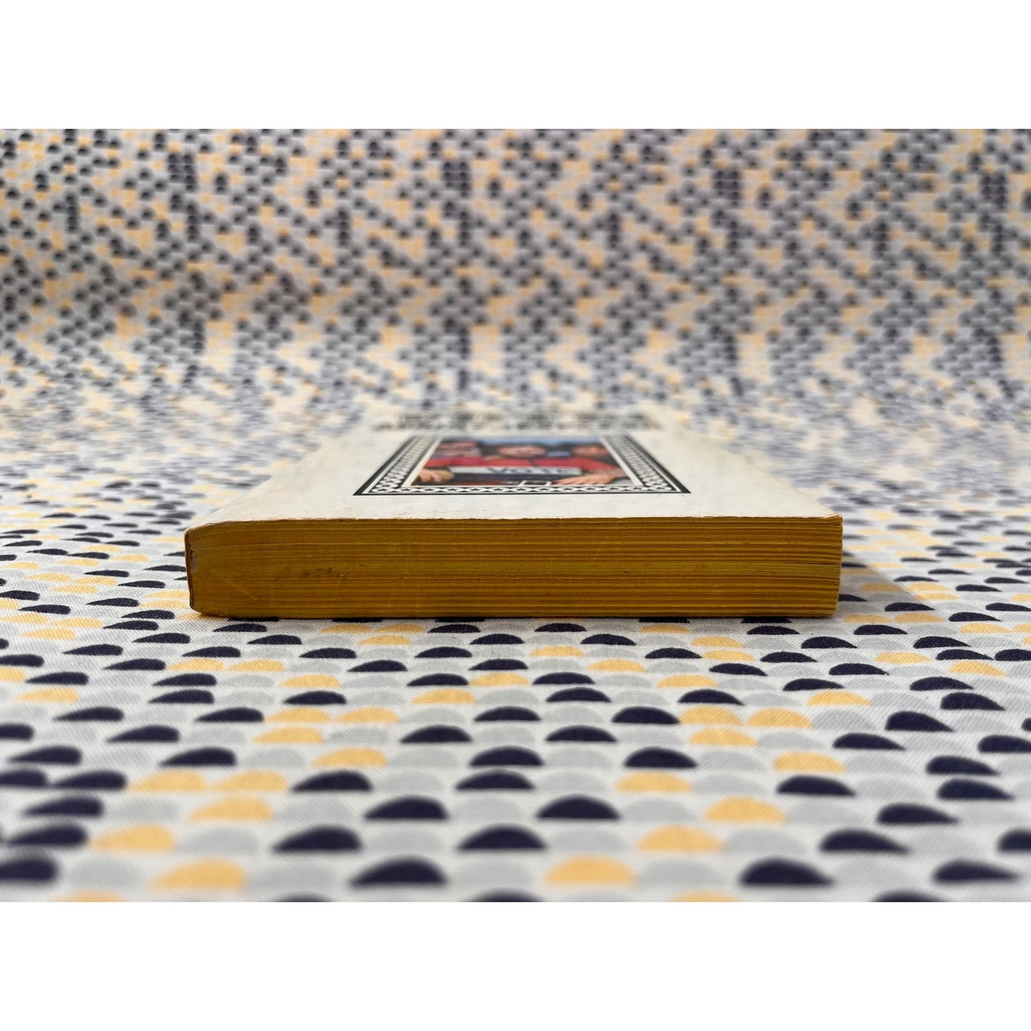 Vote! - Abbie Hoffman, Jerry Rubin & Ed Sanders - Warner Paperback Library - Paperback