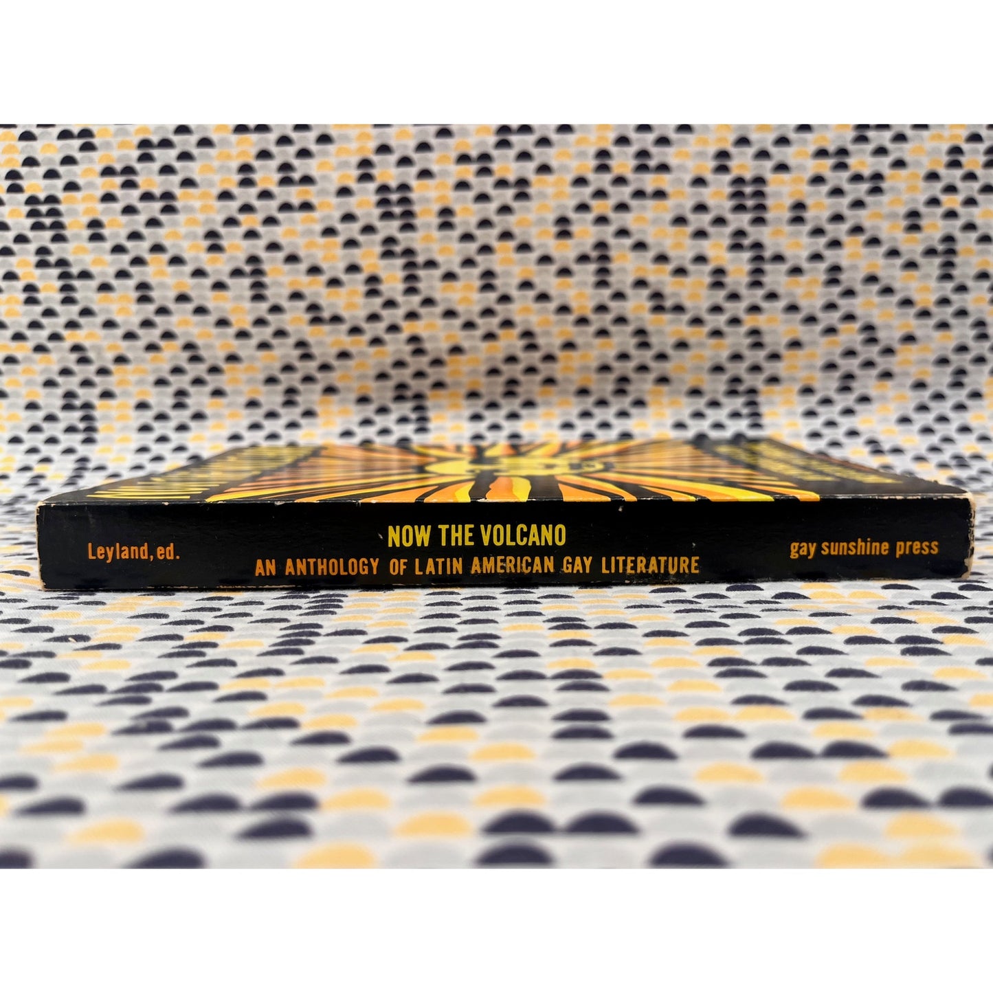 Now the Volcano - Ed. Winston Leyland - Gay Sunshine Press - Paperback