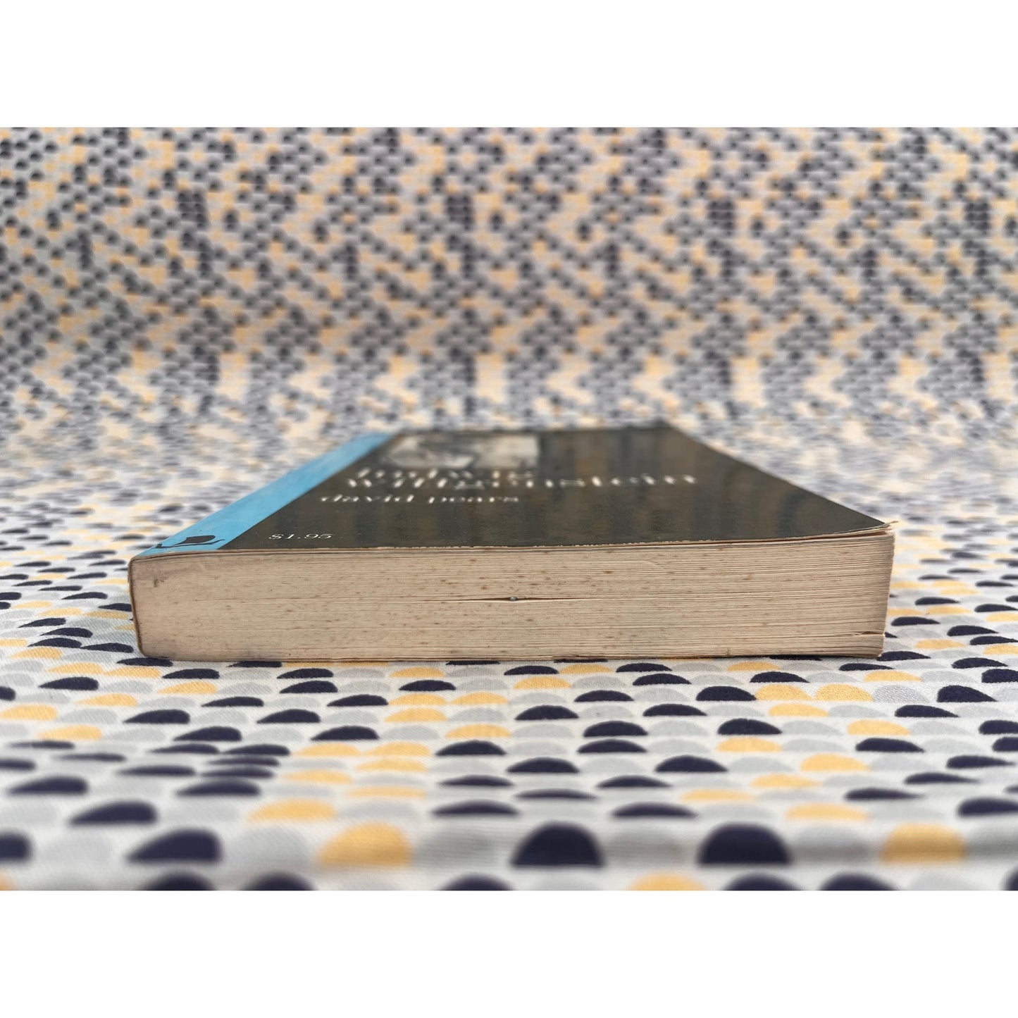 Ludwig Wittgenstein - David Pears - Viking Press - Paperback