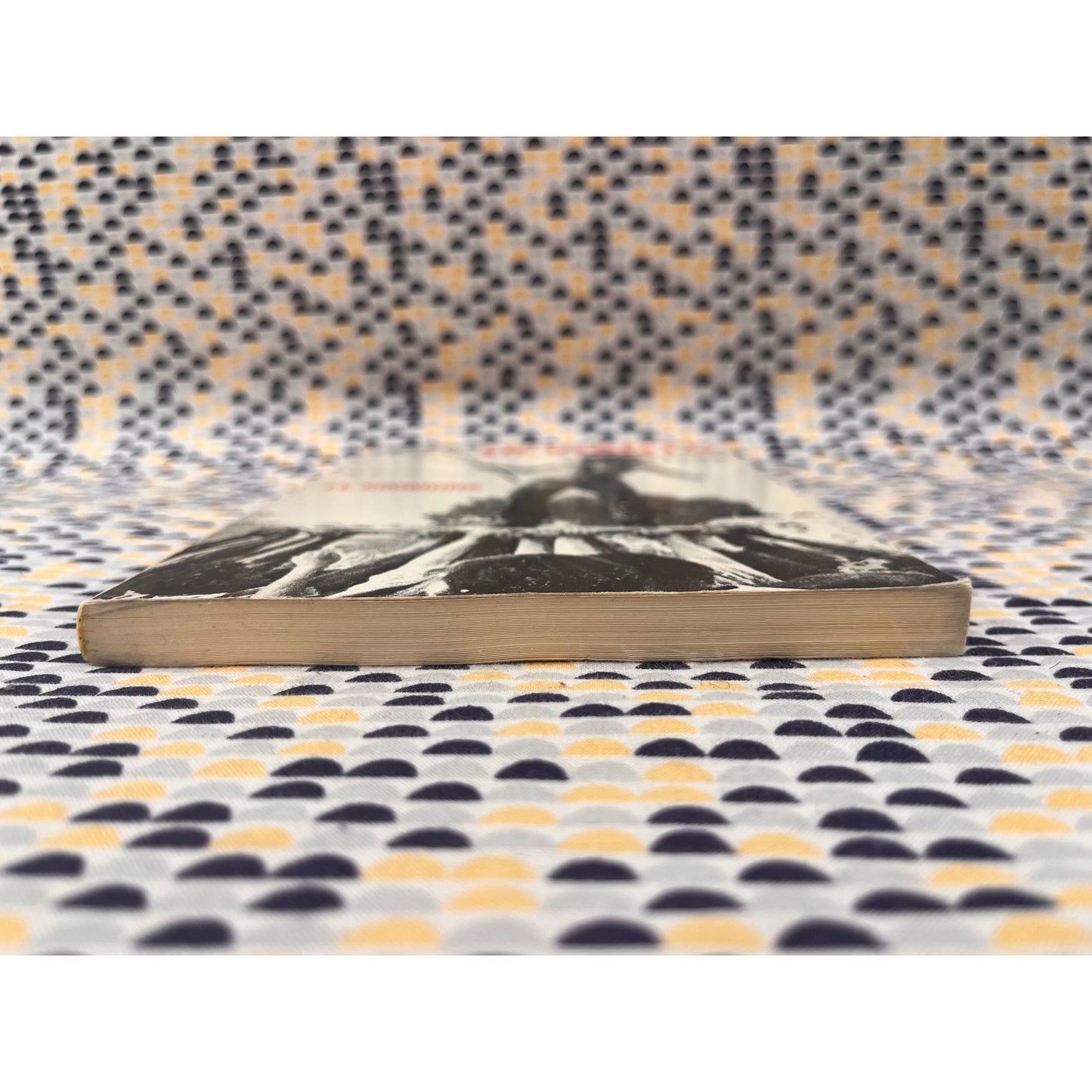 Deviants - J. L. Simmons - Boyd & Fraser Publishing - Paperback