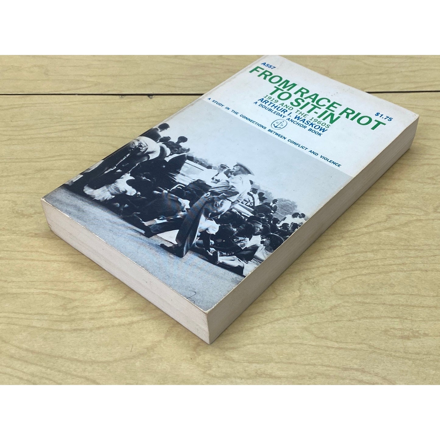 From Race Riot to Sit-In - 1919 and the 1960s - Arthur Waskow - Vintage Paperback Book - 1967 Anchor Edition