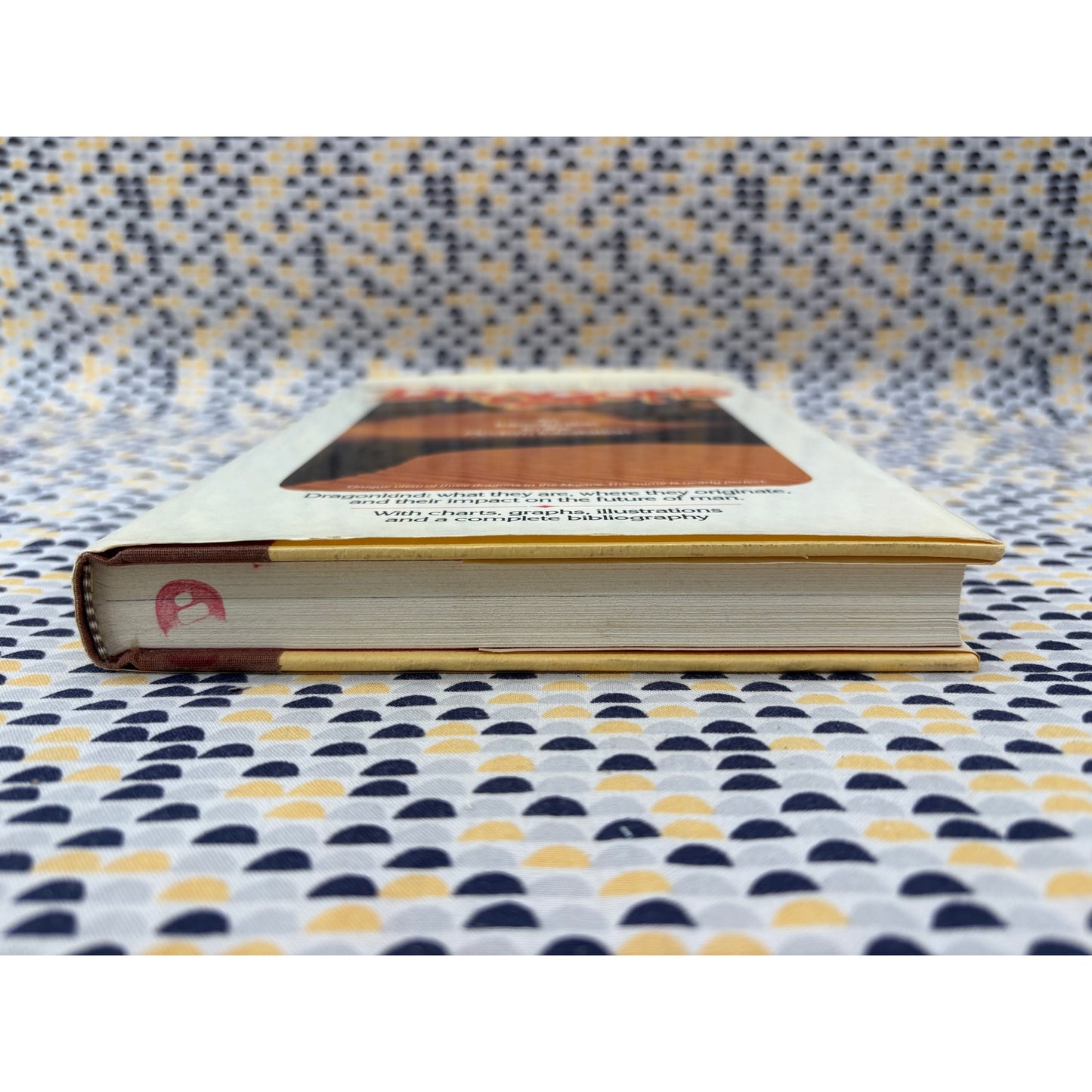 Dragons - Pamela Wharton Blanpied - Warner - Hardcover