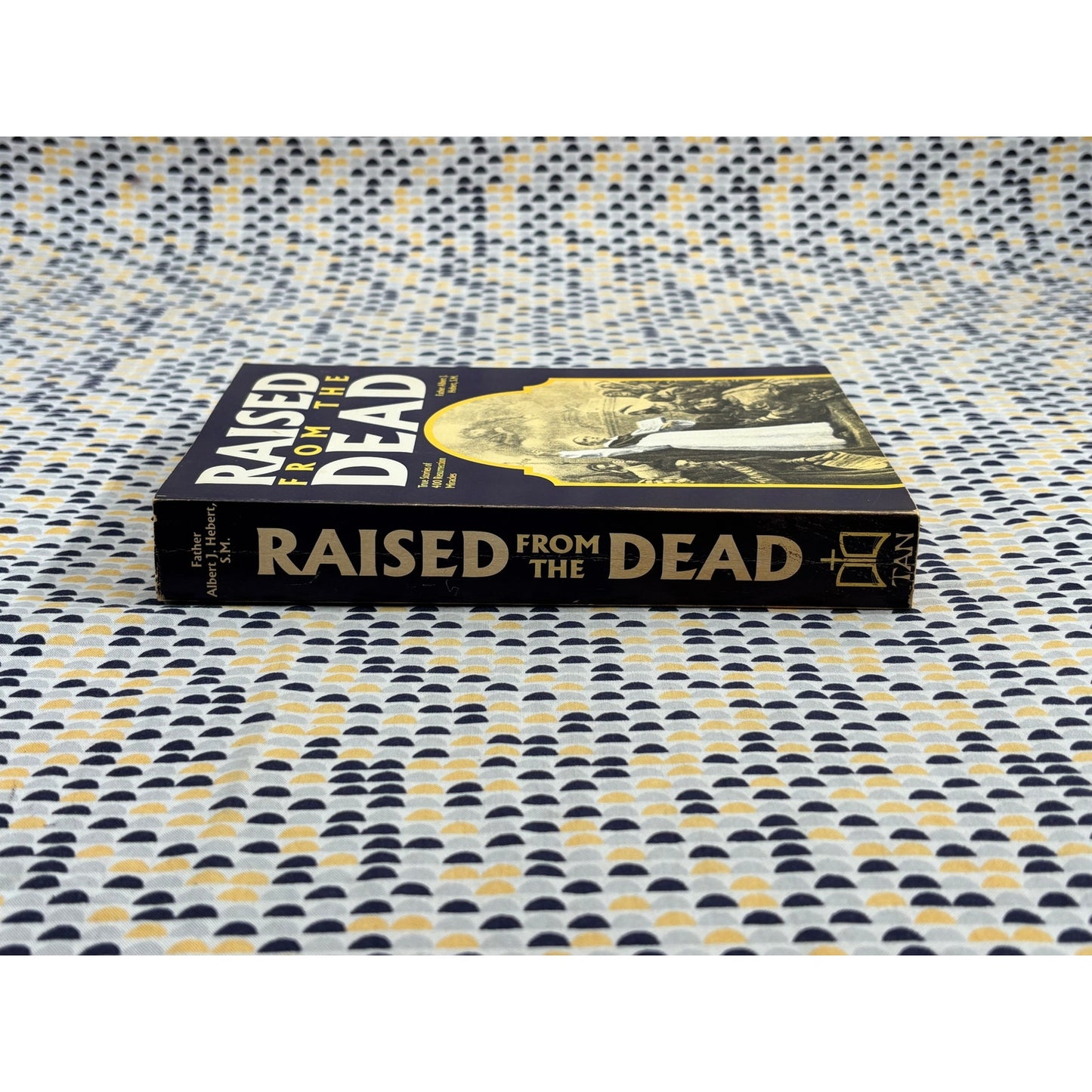 Raised From the Dead - Albert J. Herbert - Tan Books - Paperback
