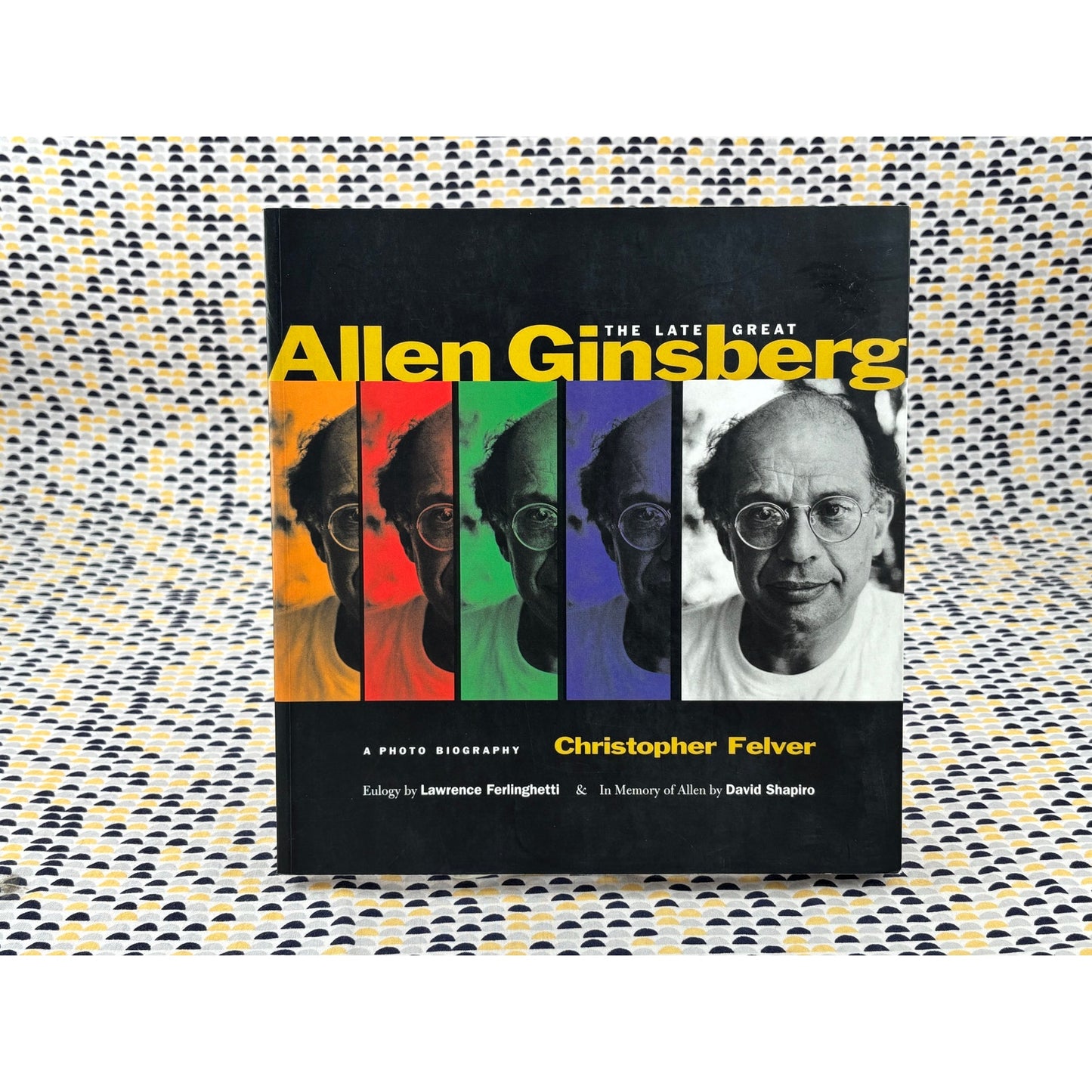 The Late Great Allen Ginsberg - Chistopher Felver - Thunder’s Mouth Press - Paperback