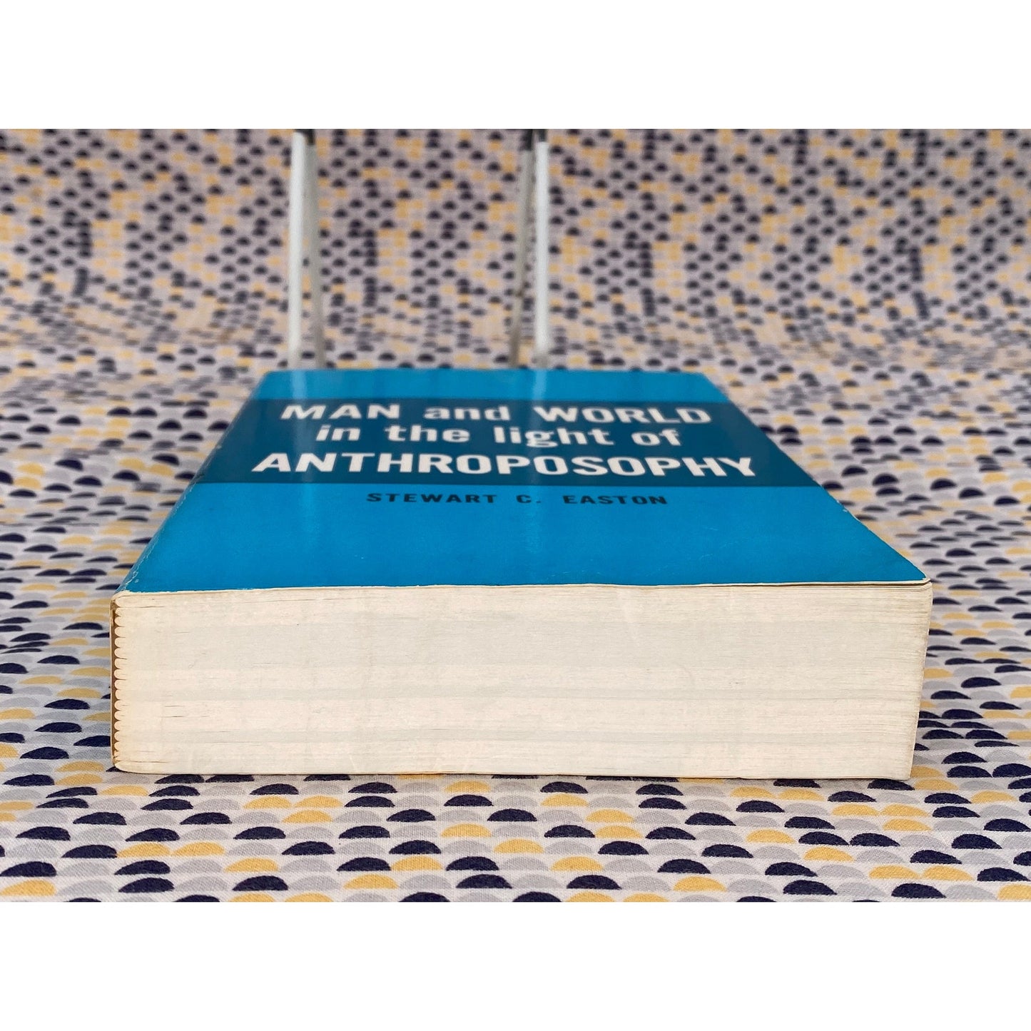 Man And The World In The Light Of Anthroposophy - Stewart C. Easton