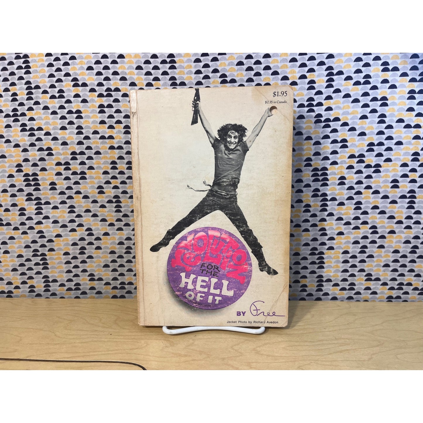 Revolution for the Hell of It - Free - Abbie Hoffman - Vintage Paperback Book