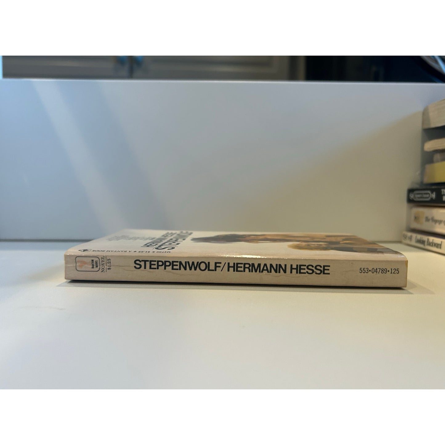 Steppenwolf -  Hermann Hesse - Bantam Edition - Paperback