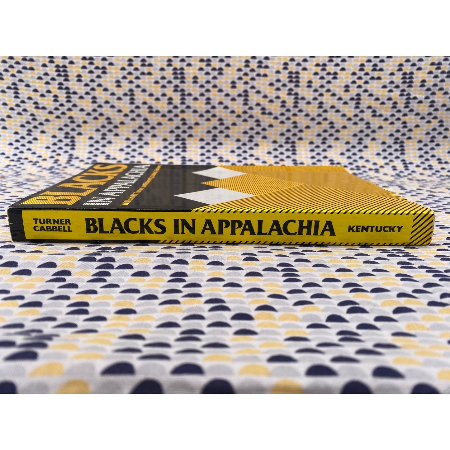 Blacks In Appalachia - William H. Turner - Edward J. Cabbell - Kentucky - Paperback