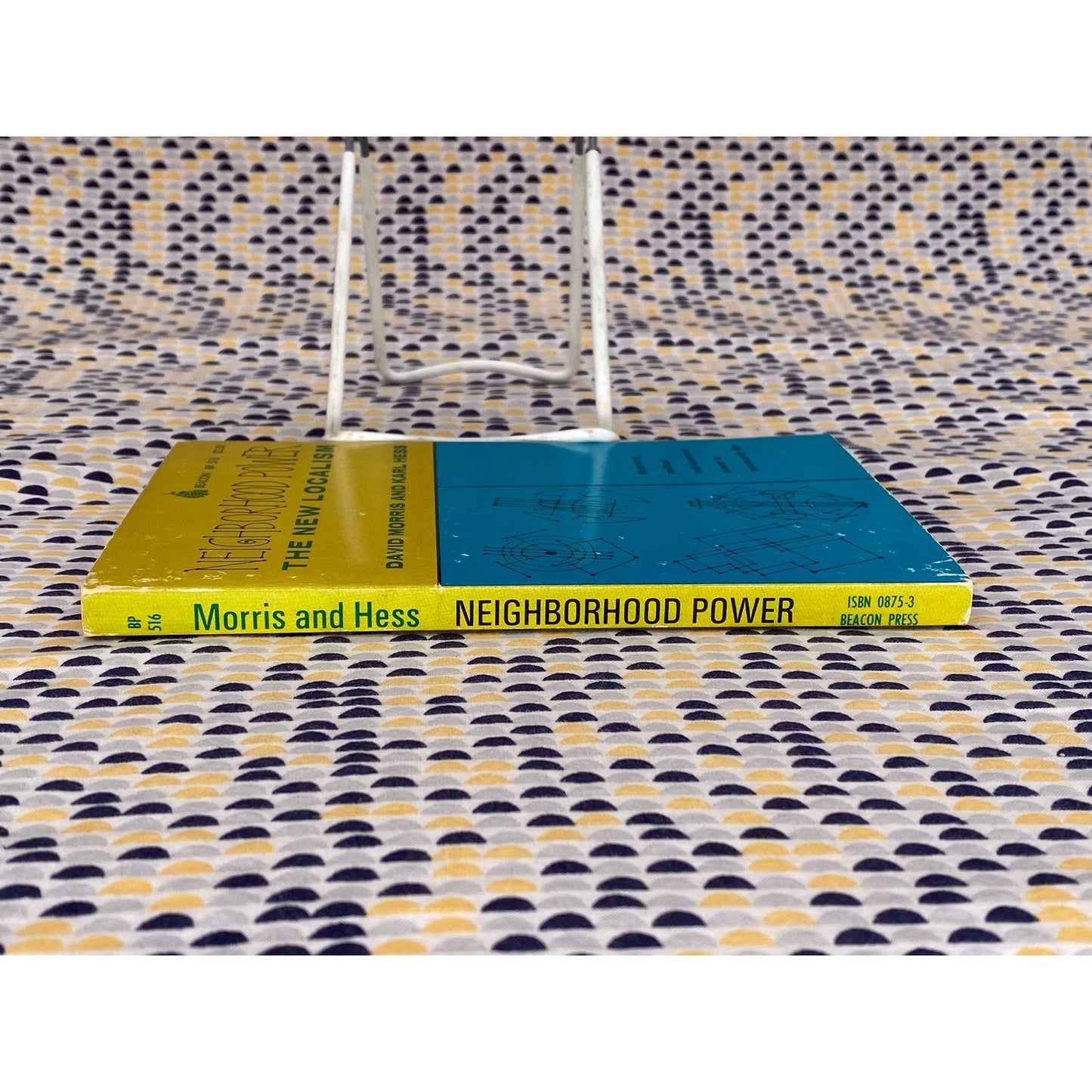 Neighborhood Power: The New Localism - David and Karl Morris and Hess - Vintage Paperback Book - Beacon Press Edition