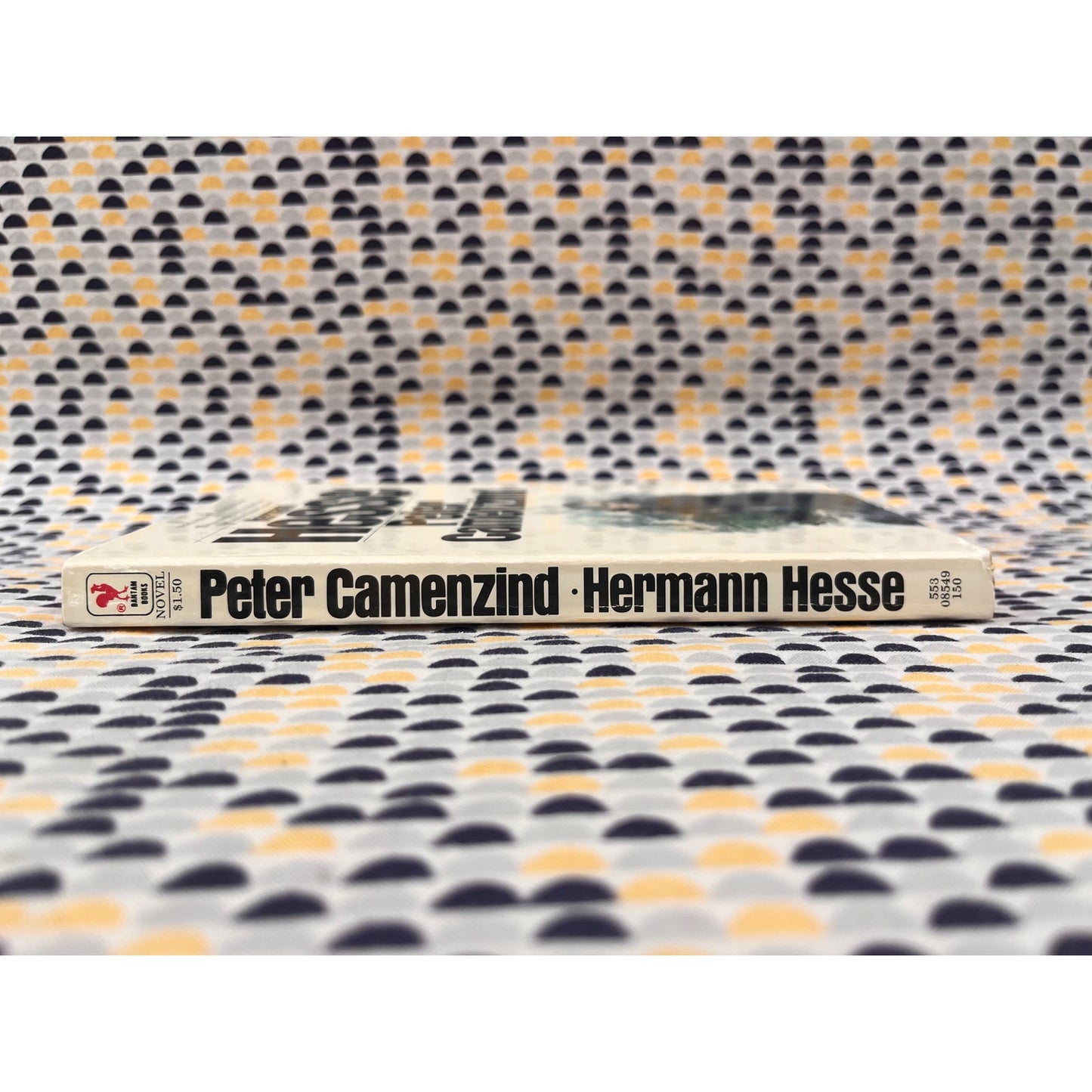 Peter Camenzind - Hermann Hesse - Bantam Books - Paperback