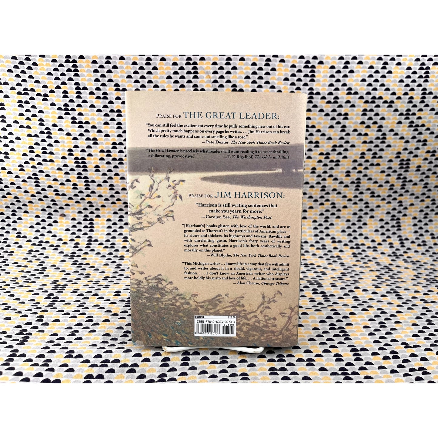 The River Swimmer - Jim Harrison - Grove Press - Hardcover - 1st Edition 1st Printing