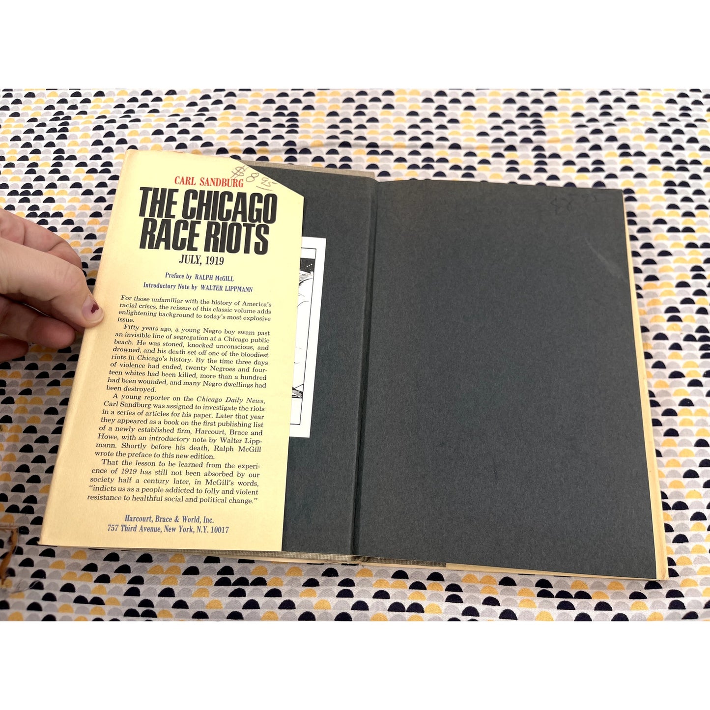 The Chicago Race Riots: July, 1919 - Carl Sandburg - Harcourt, Brace & World Books - Hardcover