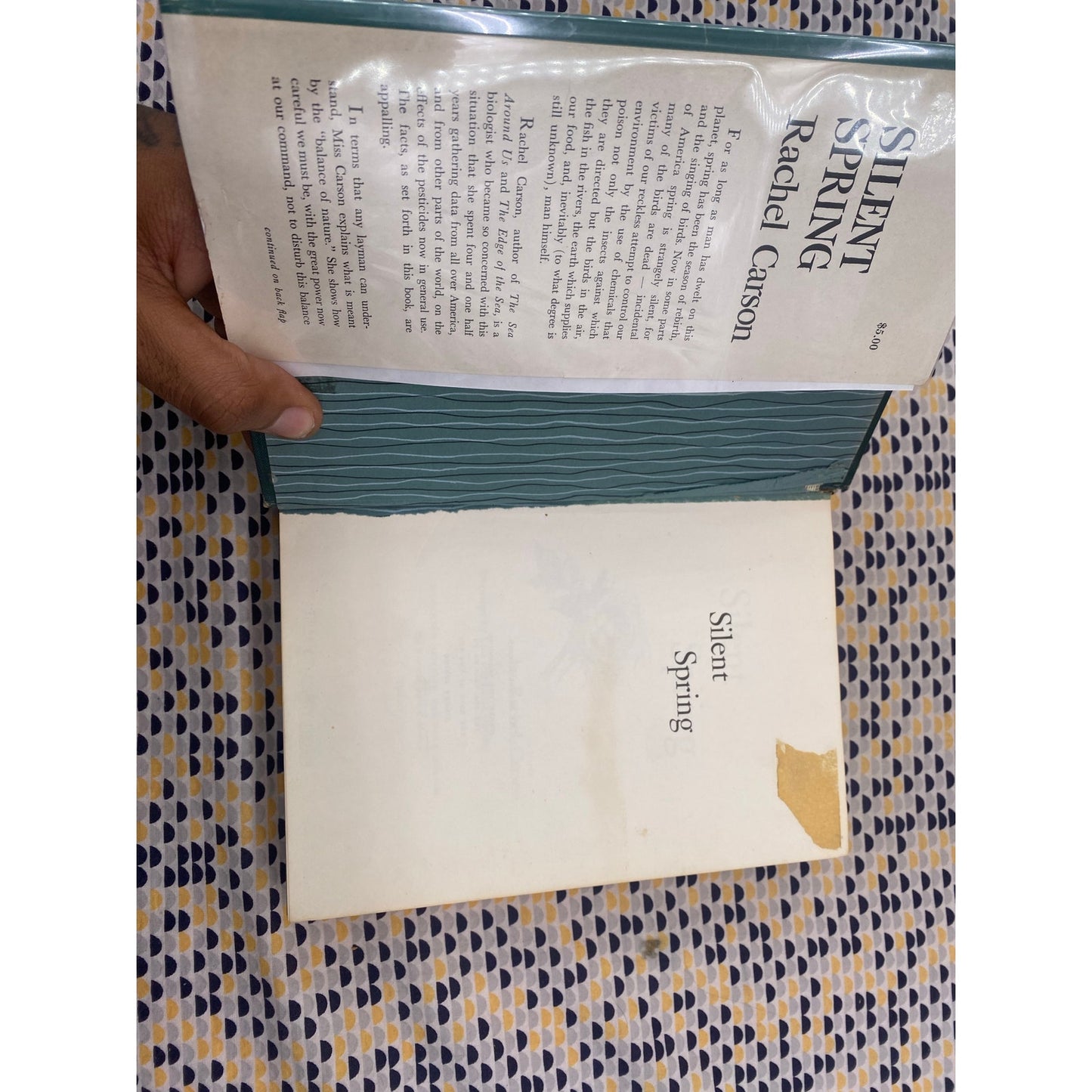 Silent Spring - Rachel Carson - Hardcover - EX LIBRARY - 1st Edition 1st Printing