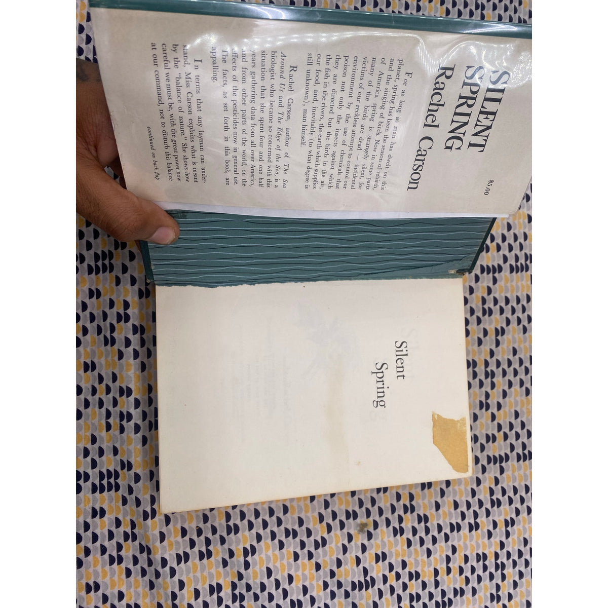 Silent Spring - Rachel Carson - Hardcover - EX LIBRARY - 1st Edition 1st Printing