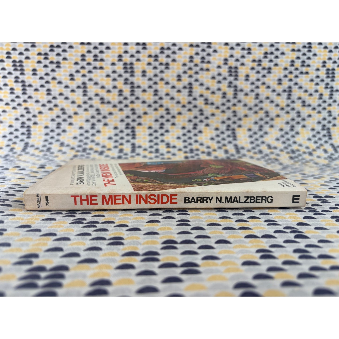 The Men Inside - Barry N. Malzberg - Magnum - Paperback