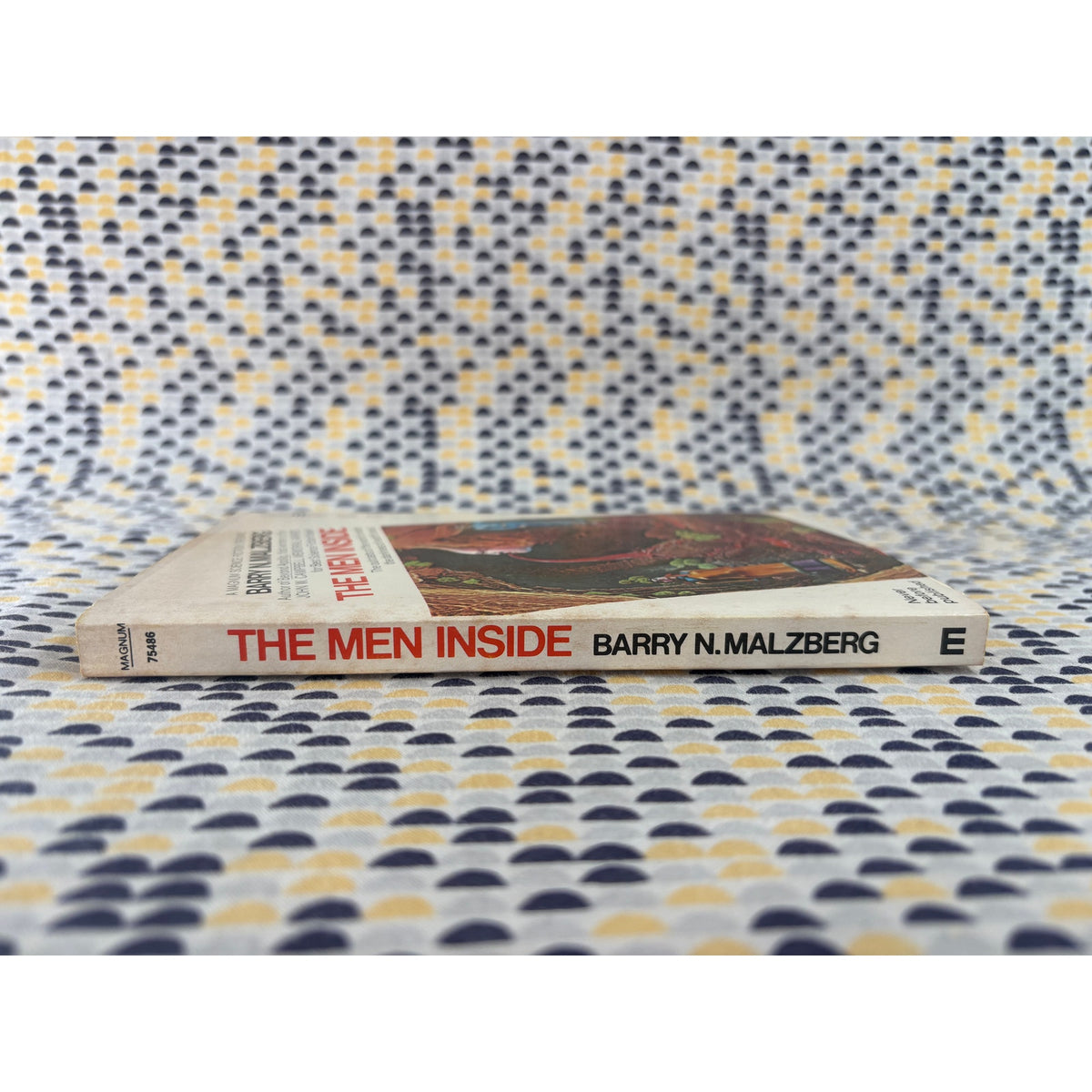 The Men Inside - Barry N. Malzberg - Magnum - Paperback