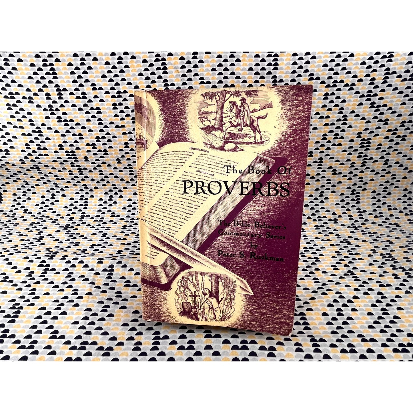 The Book of Proverbs: The Bible Believer's Commentary Series - Peter S. Ruckman - Pensacola Bible Press - Paperback