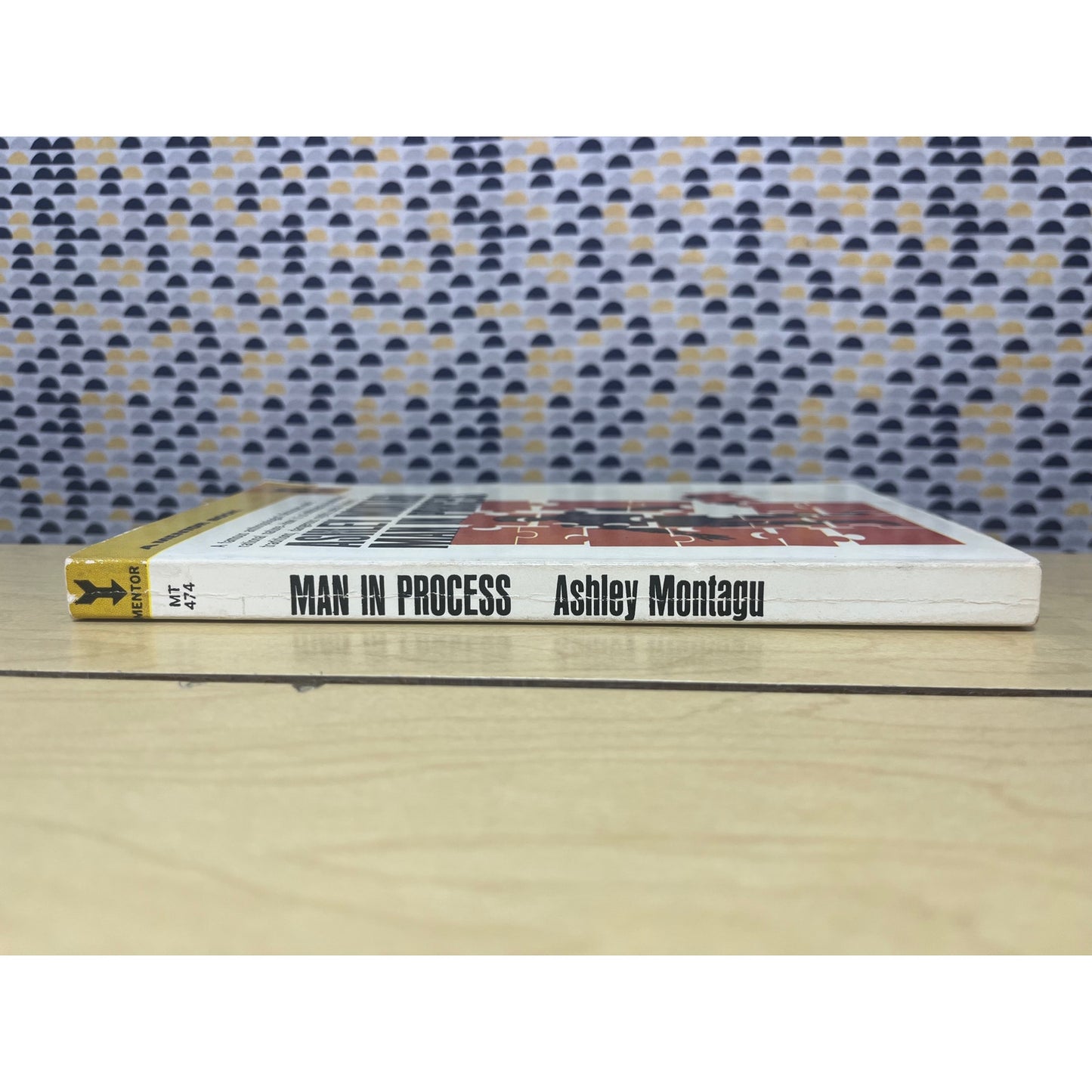 Man in Process - Ashley Montagu - A Mentor Book - Paperback