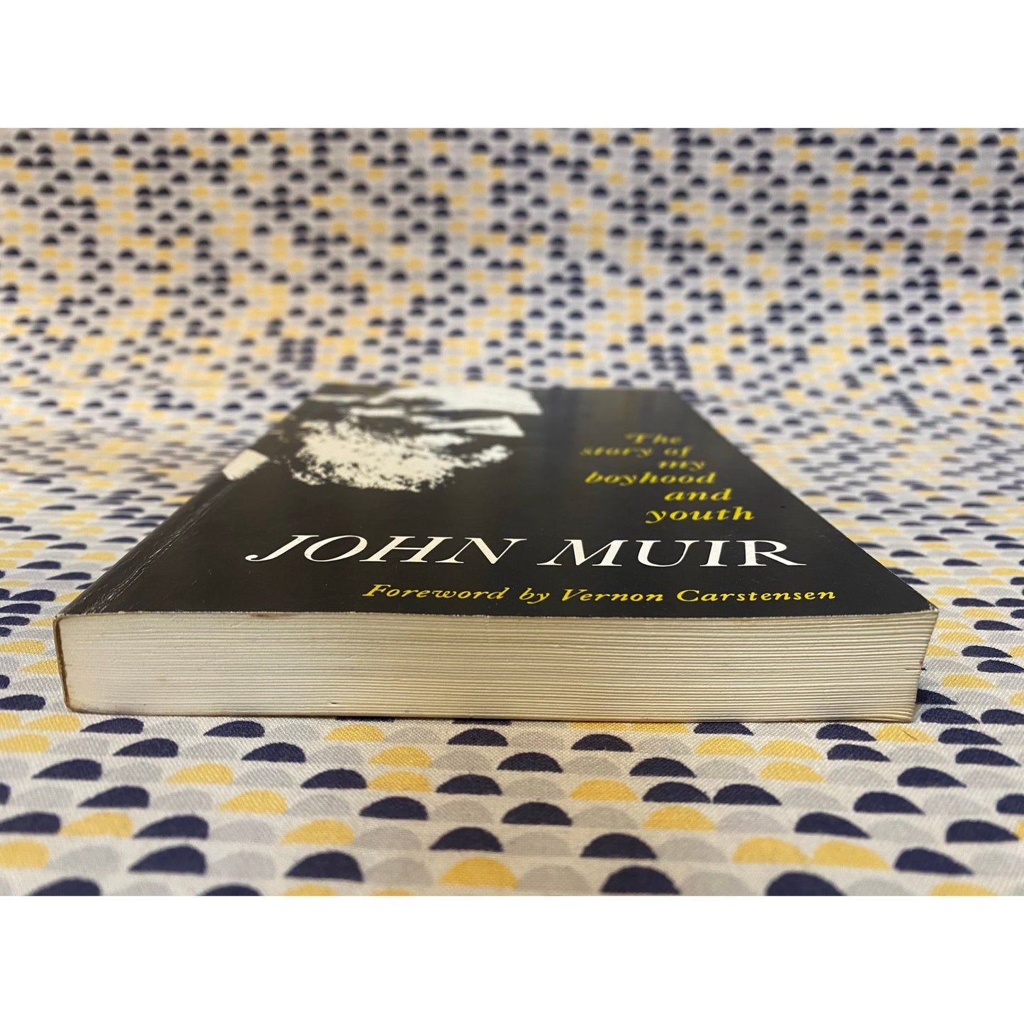 John Muir - The Story of My Boyhood and Youth - Vintage Paperback Book - Houghton Mifflin Edition