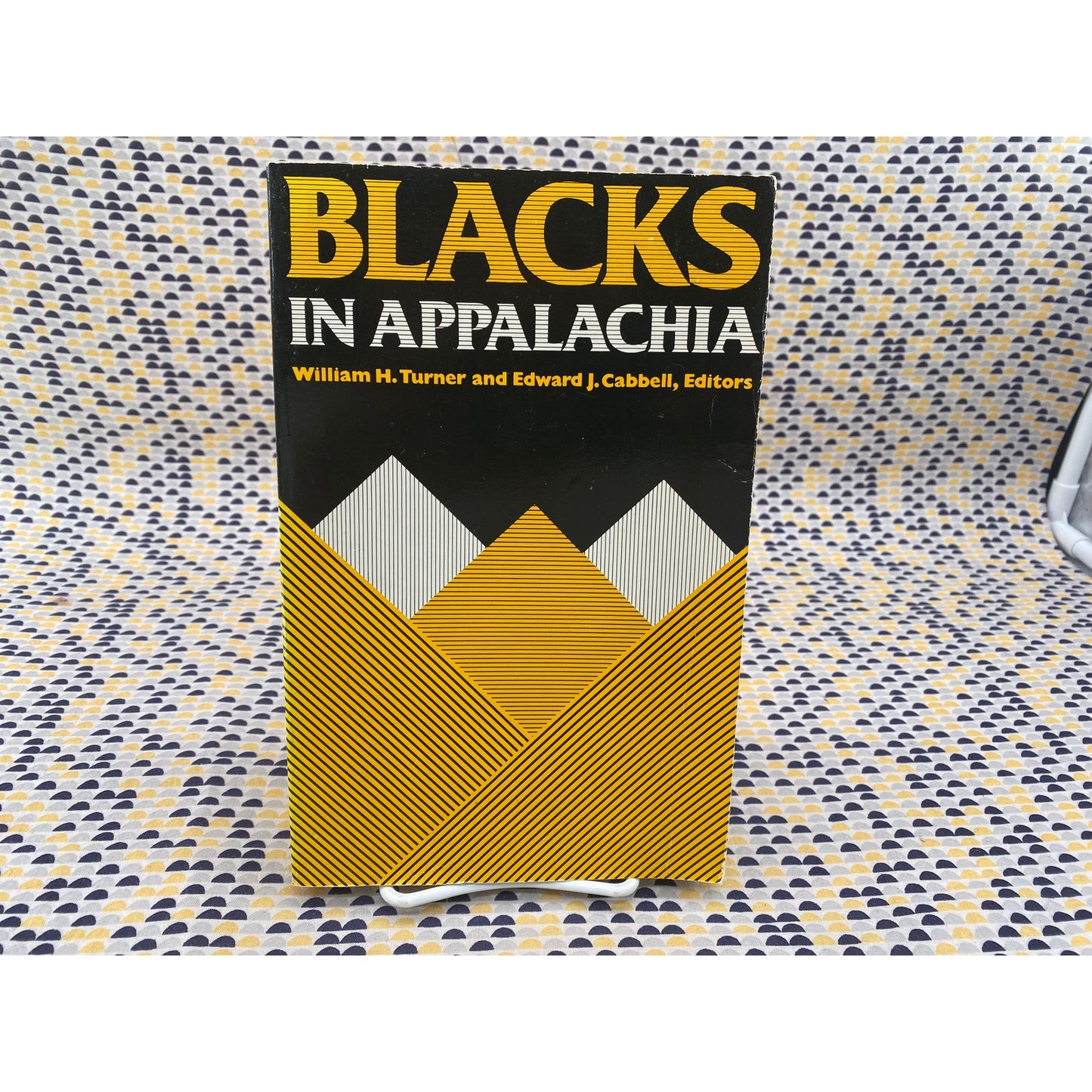 Blacks In Appalachia - William H. Turner - Edward J. Cabbell - Kentucky - Paperback