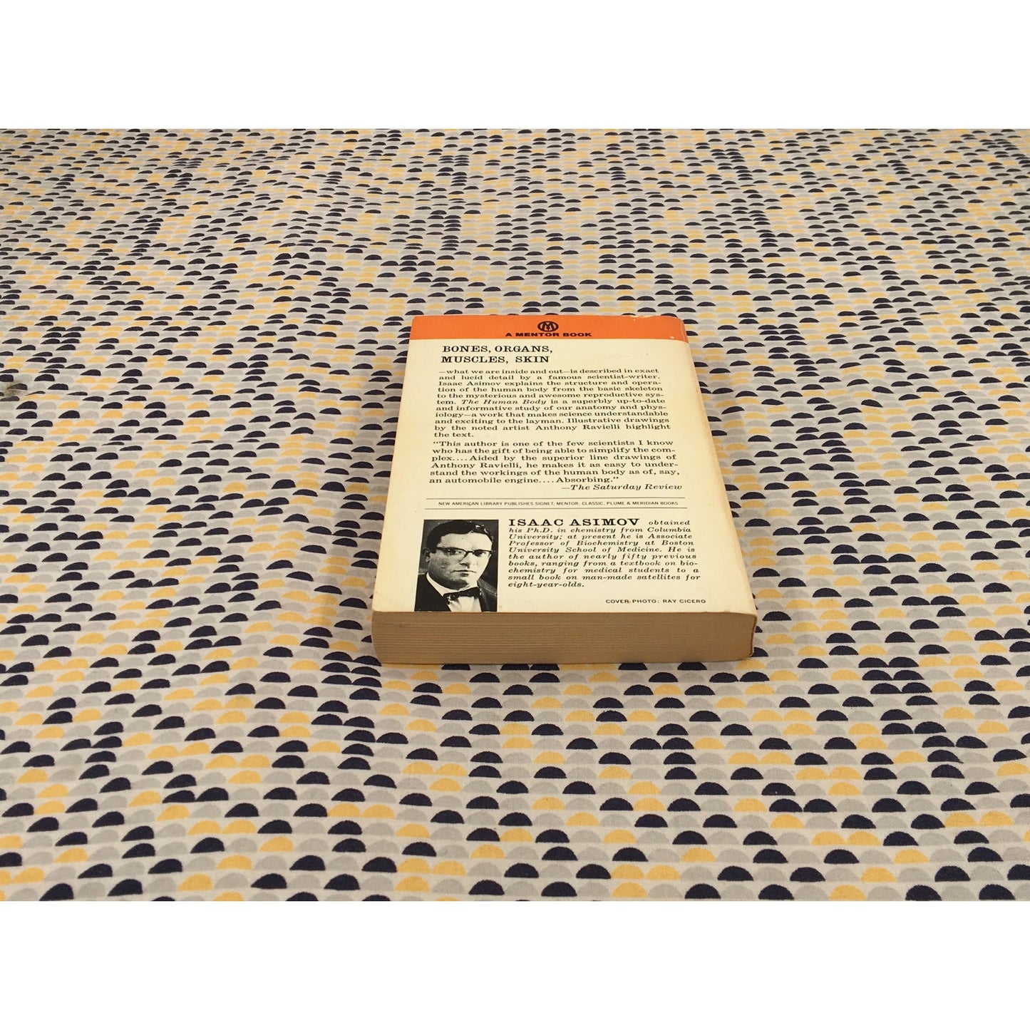 The Human Body Its Structure And Operation - Isaac Asimov - Mentor - Paperback