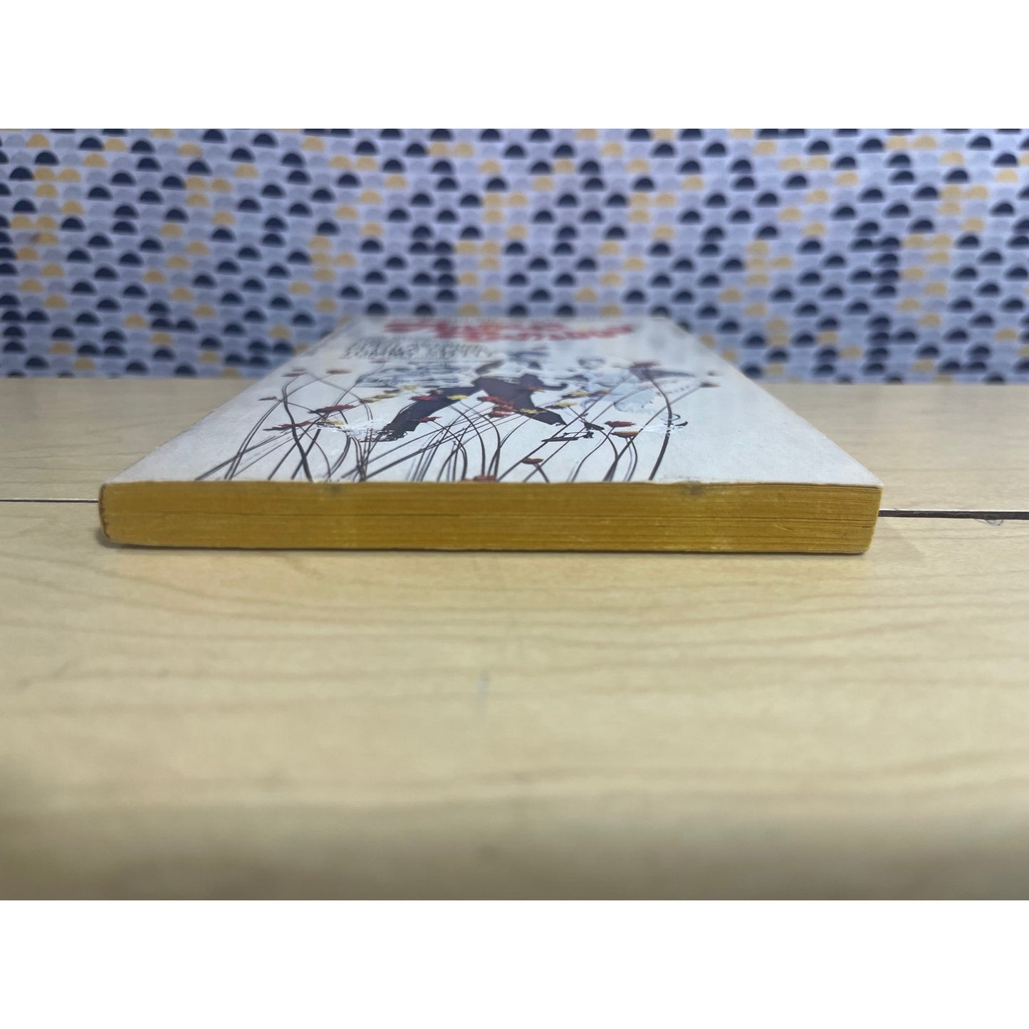 Finian's Rainbow - E. Y. Harburg & Fred Saidy - Berkley Medallion Book - Paperback