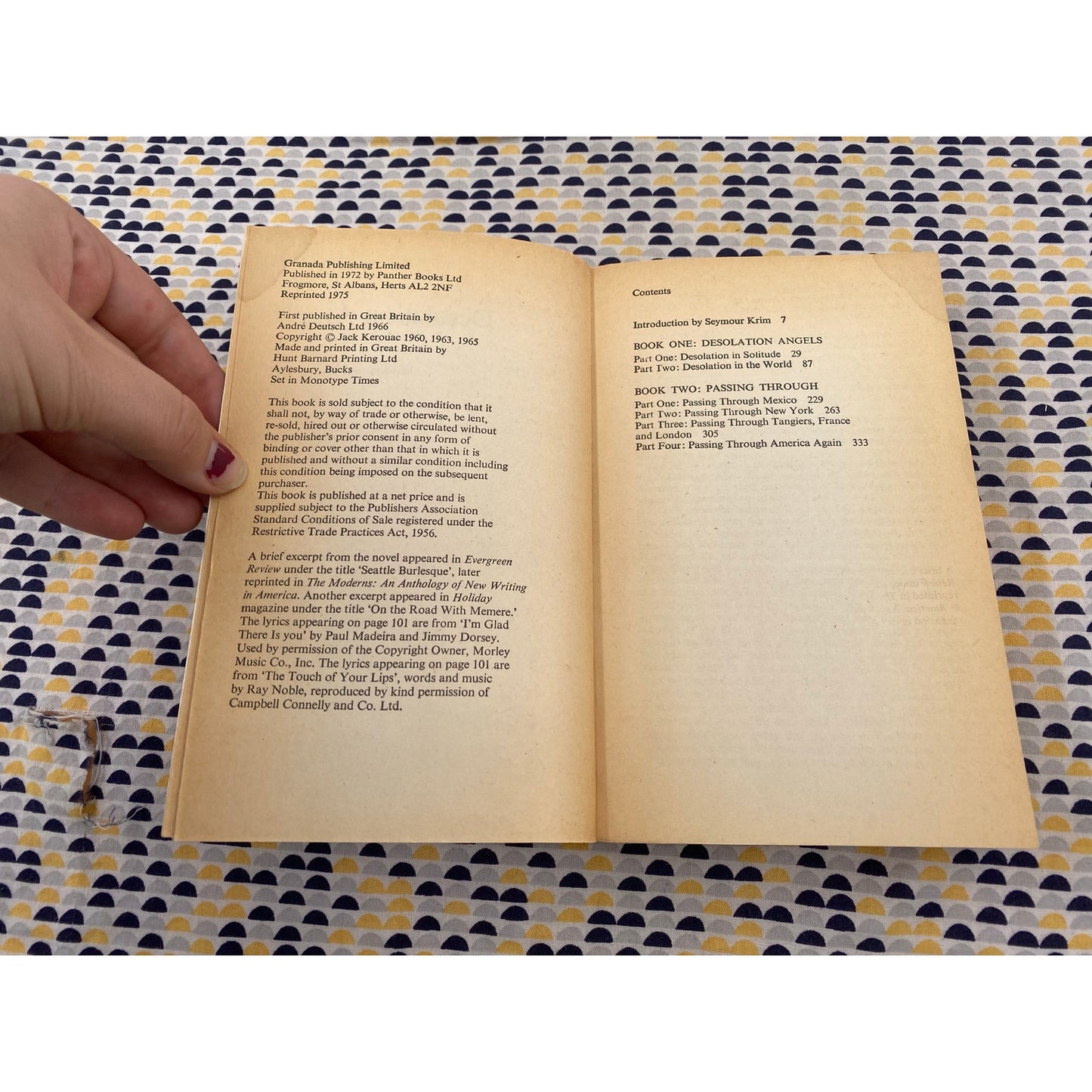 Desolation Angels - Jack Kerouac - Vintage Paperback Book - Panther Edition