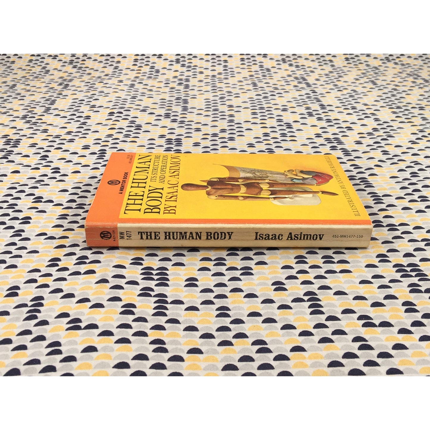 The Human Body Its Structure And Operation - Isaac Asimov - Mentor - Paperback