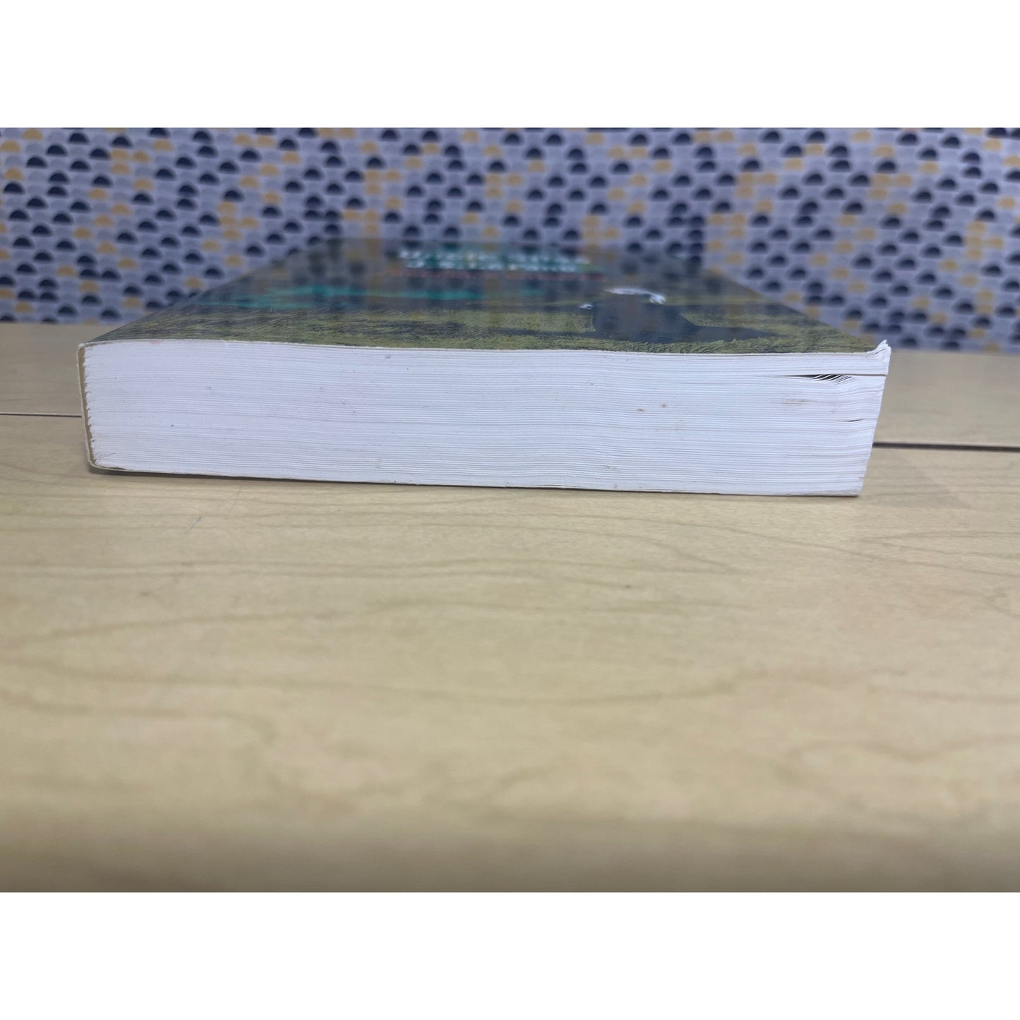 Uncle Silas - J. S. LeFanu - Dover Publishing - Paperback