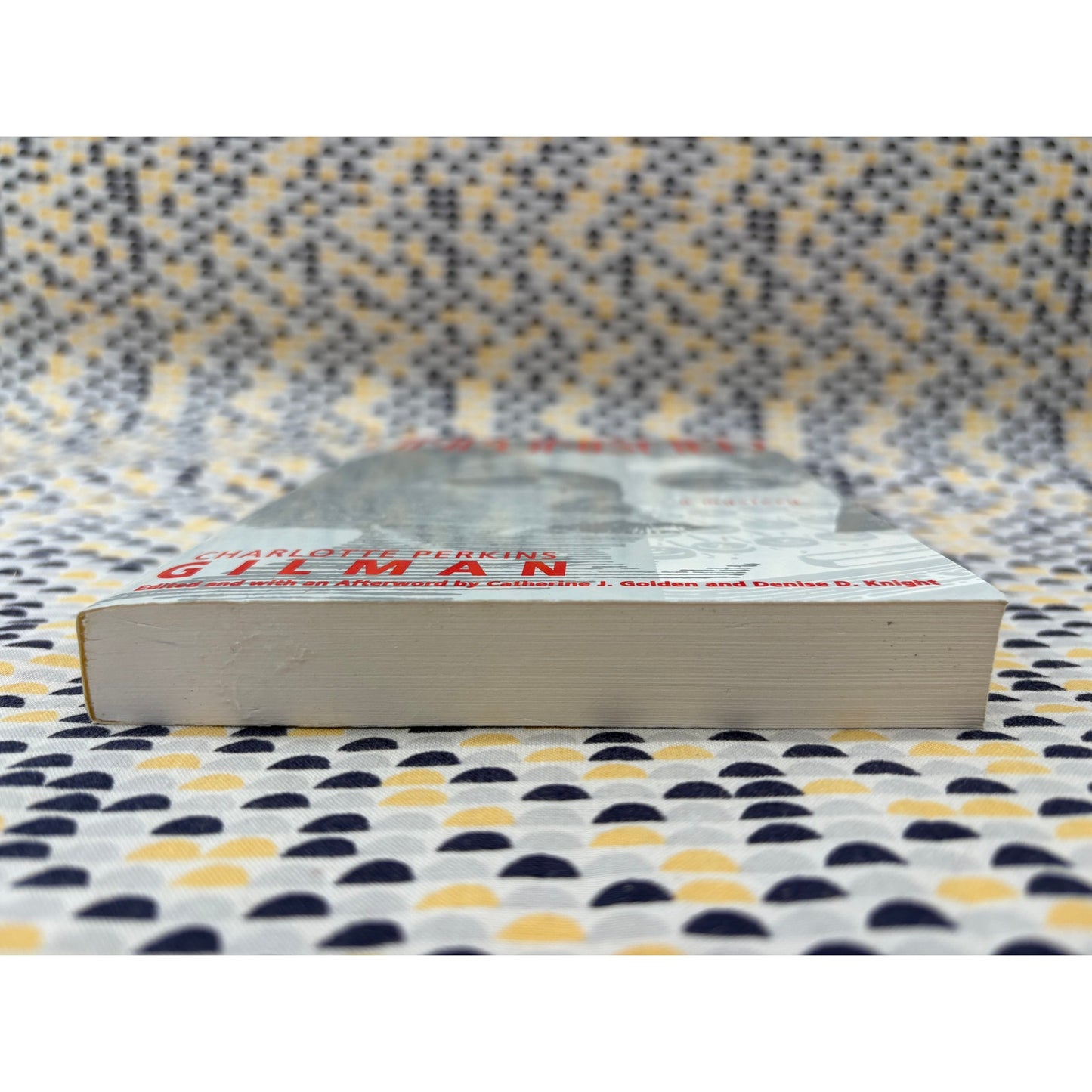 Unpunished - Charlotte Perkins Gilman - The Feminist Press - Paperback