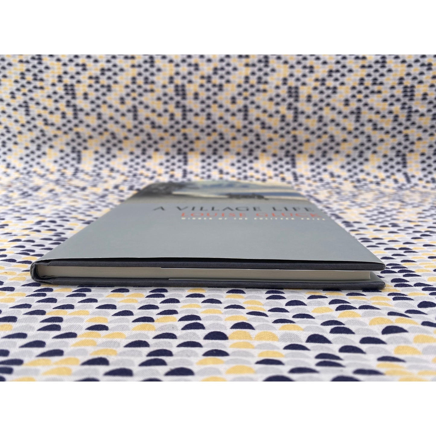 A Village Life - Louise Gluck - FSG - Hardcover - 1st Edition