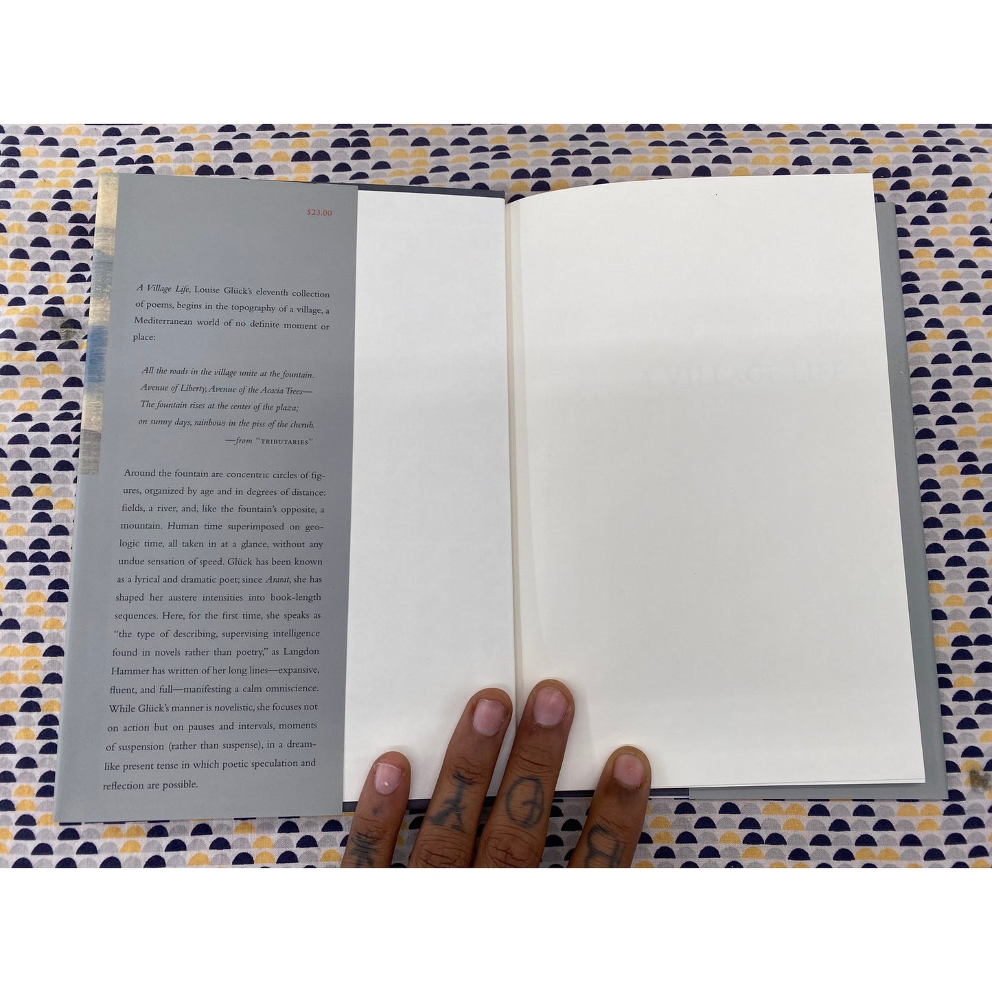 A Village Life - Louise Gluck - FSG - Hardcover - 1st Edition