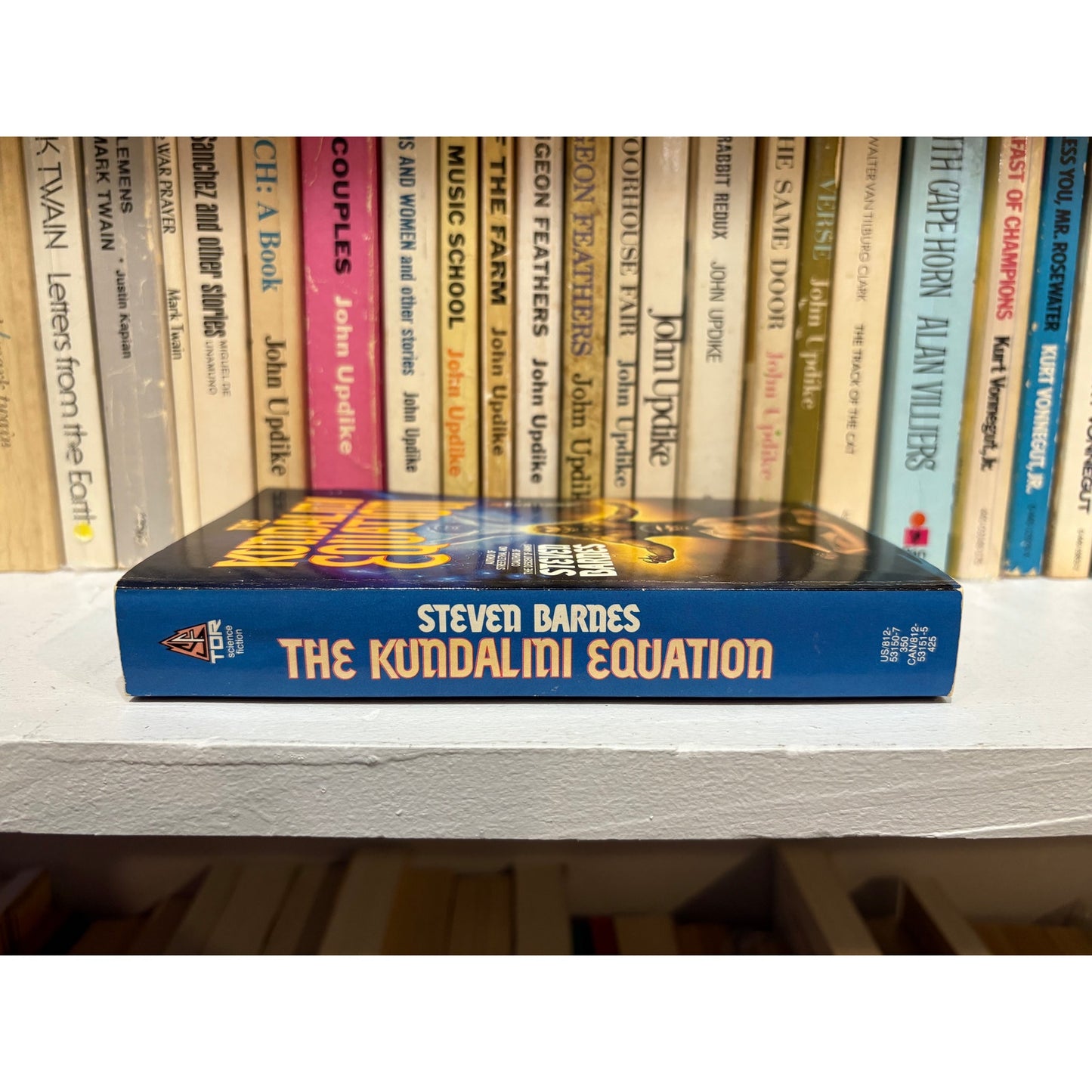 The Kundalini Equation - Steven Barnes - Tor - Paperback