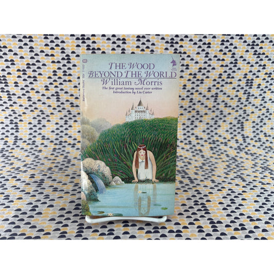 The Wood Beyond The World - William Morris - Vintage Paperback Book - Ballantine Adult Fantasy Edition